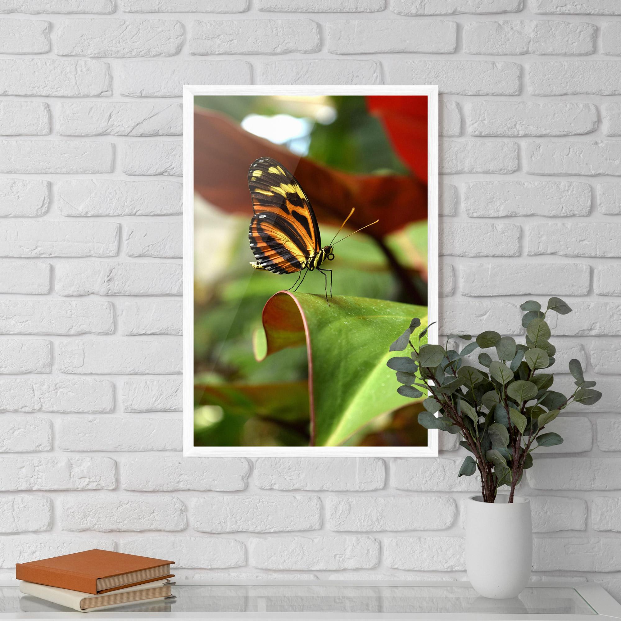 Plakat w Ramie Orange Yellow Butterfly mockup 5