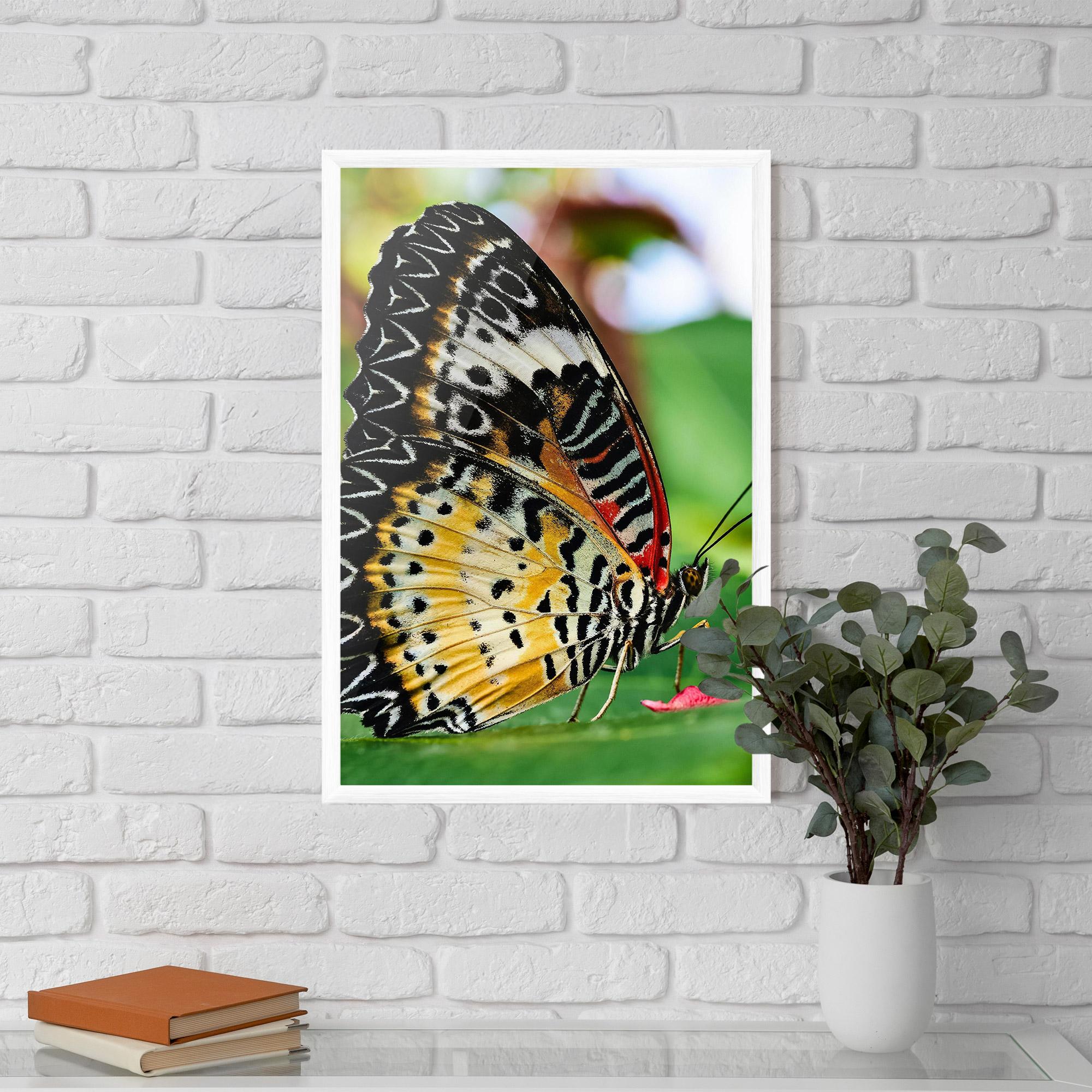Plakat w Ramie Pretty Colorful Butterfly mockup 5