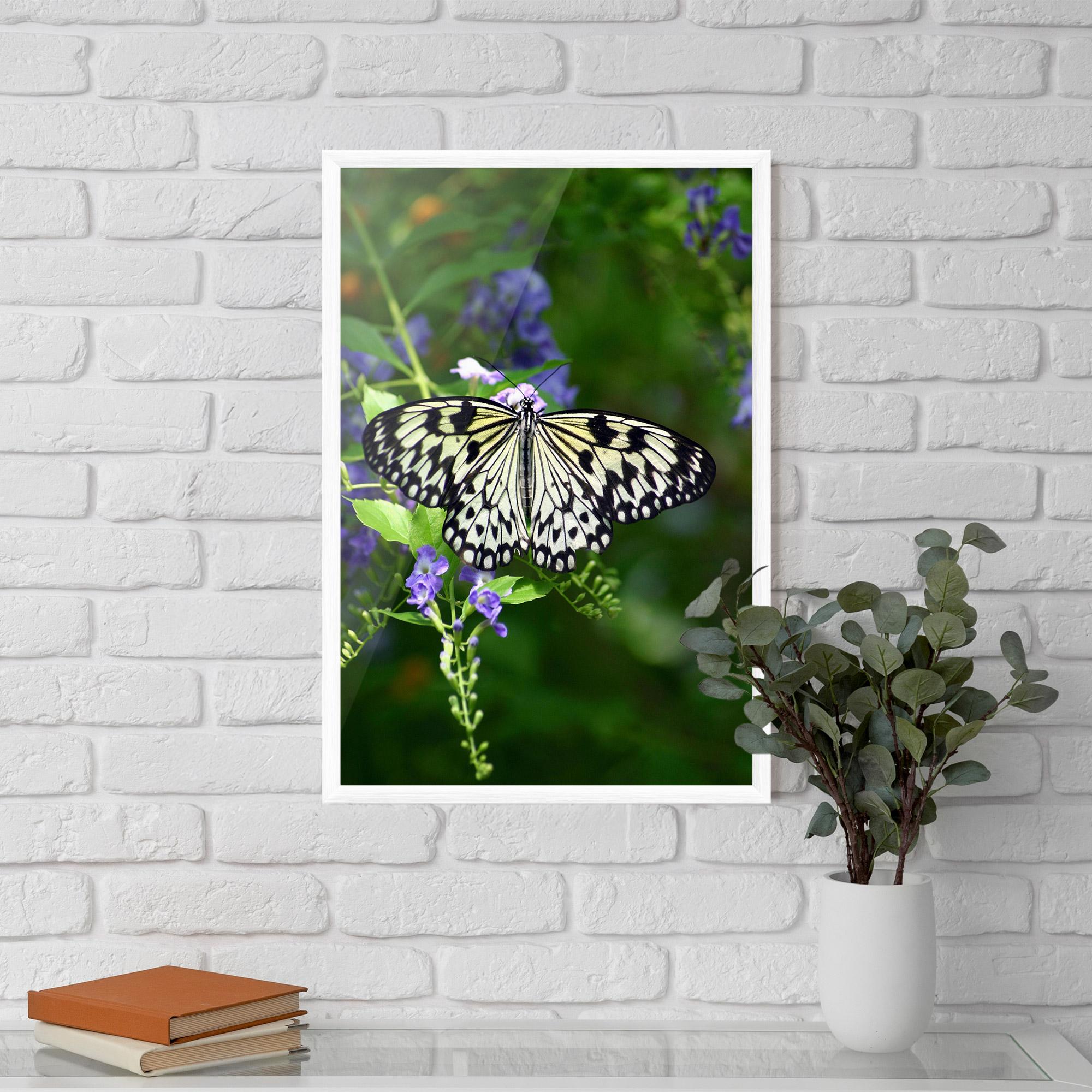 Plakat w Ramie Pretty White Butterfly mockup 5