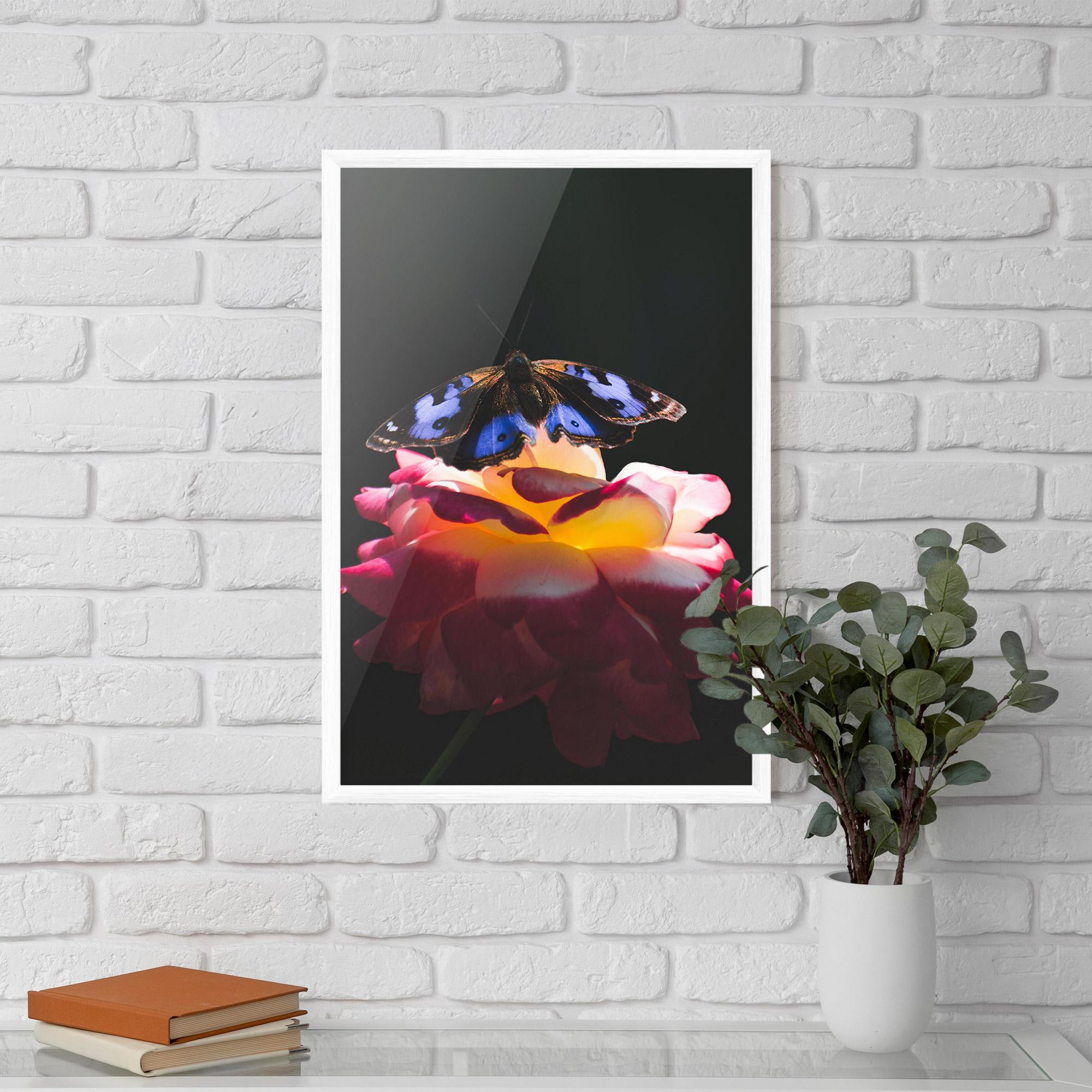 Plakat w Ramie Rose Butterfly mockup 5