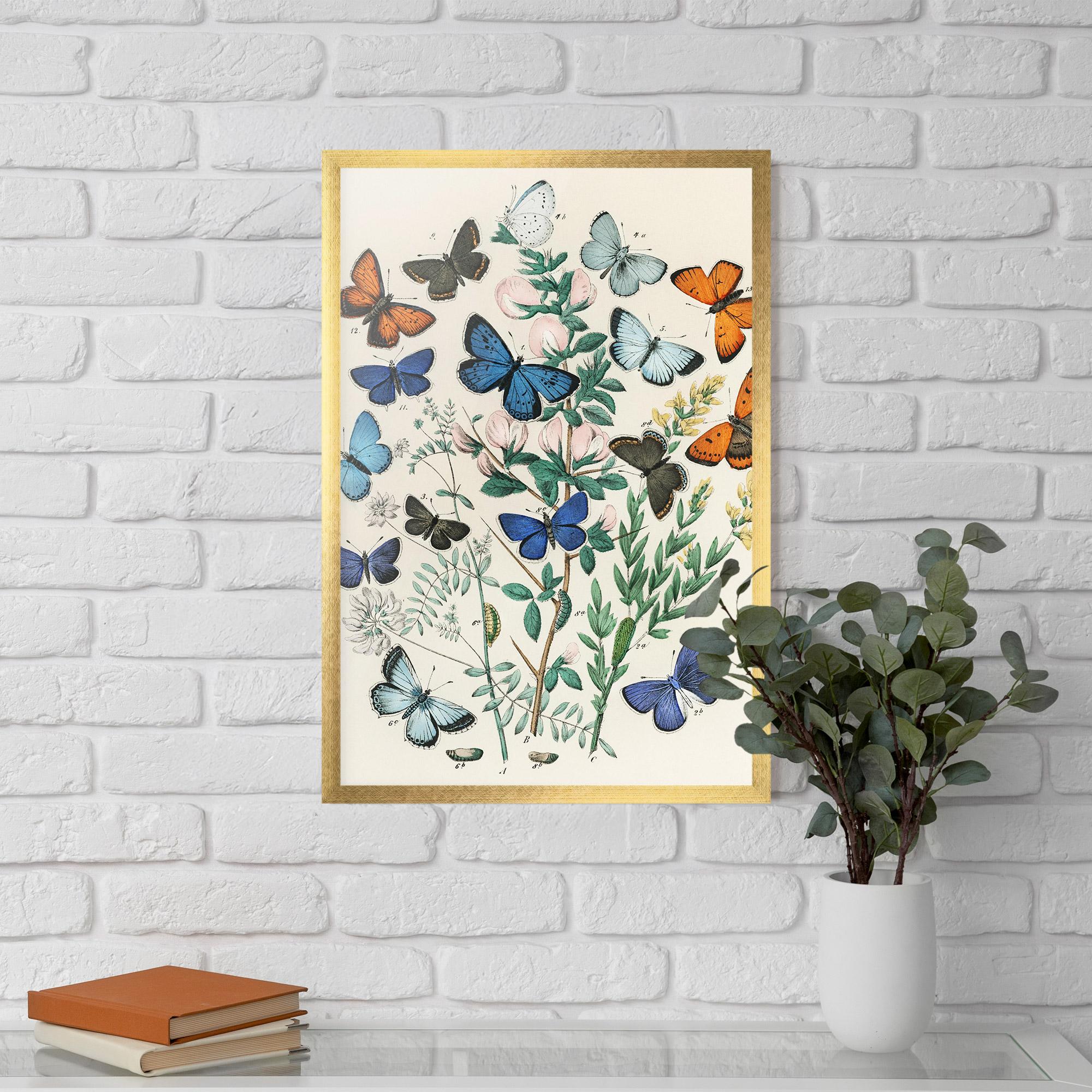 Plakat w Ramie Blue Orange Butterflies mockup 5