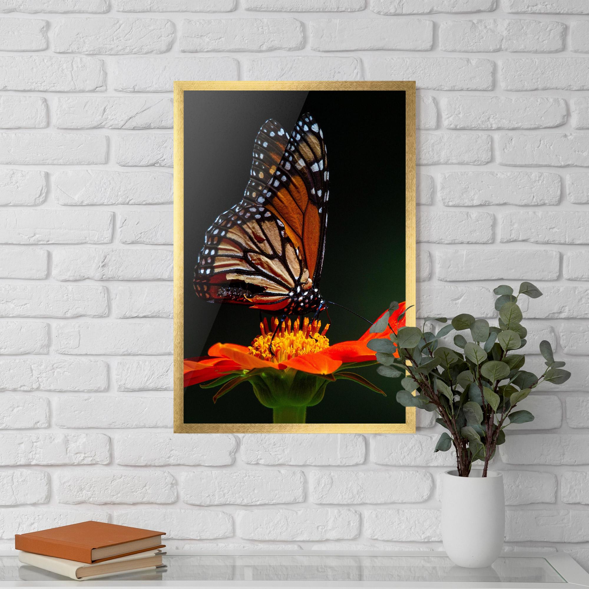 Plakat w Ramie Dark Orange Butterfy mockup 5