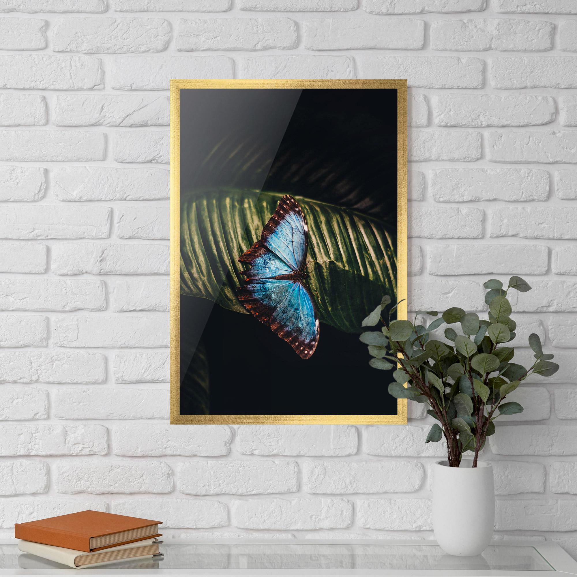 Plakat w Ramie Light Blue Butterfly mockup 5