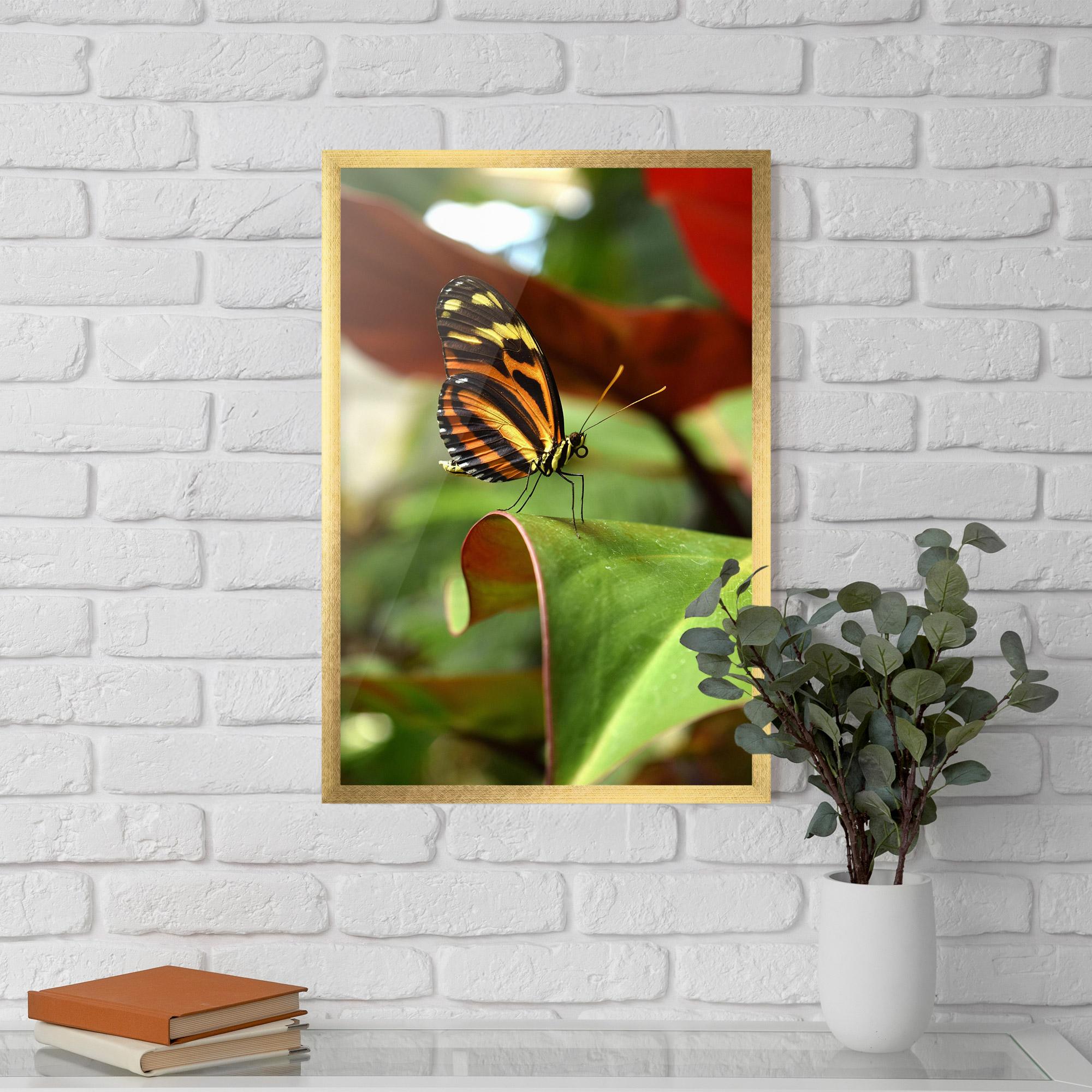 Plakat w Ramie Orange Yellow Butterfly mockup 5