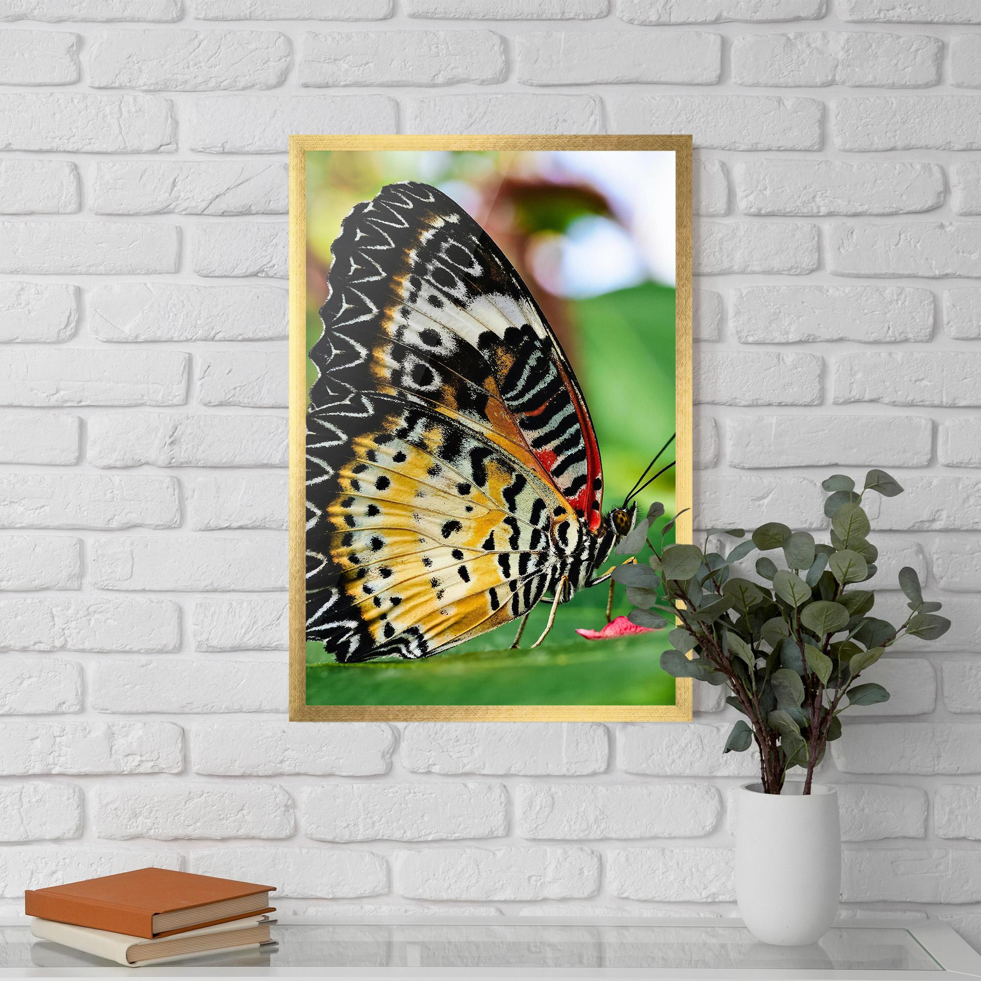 Plakat w Ramie Pretty Colorful Butterfly mockup 5