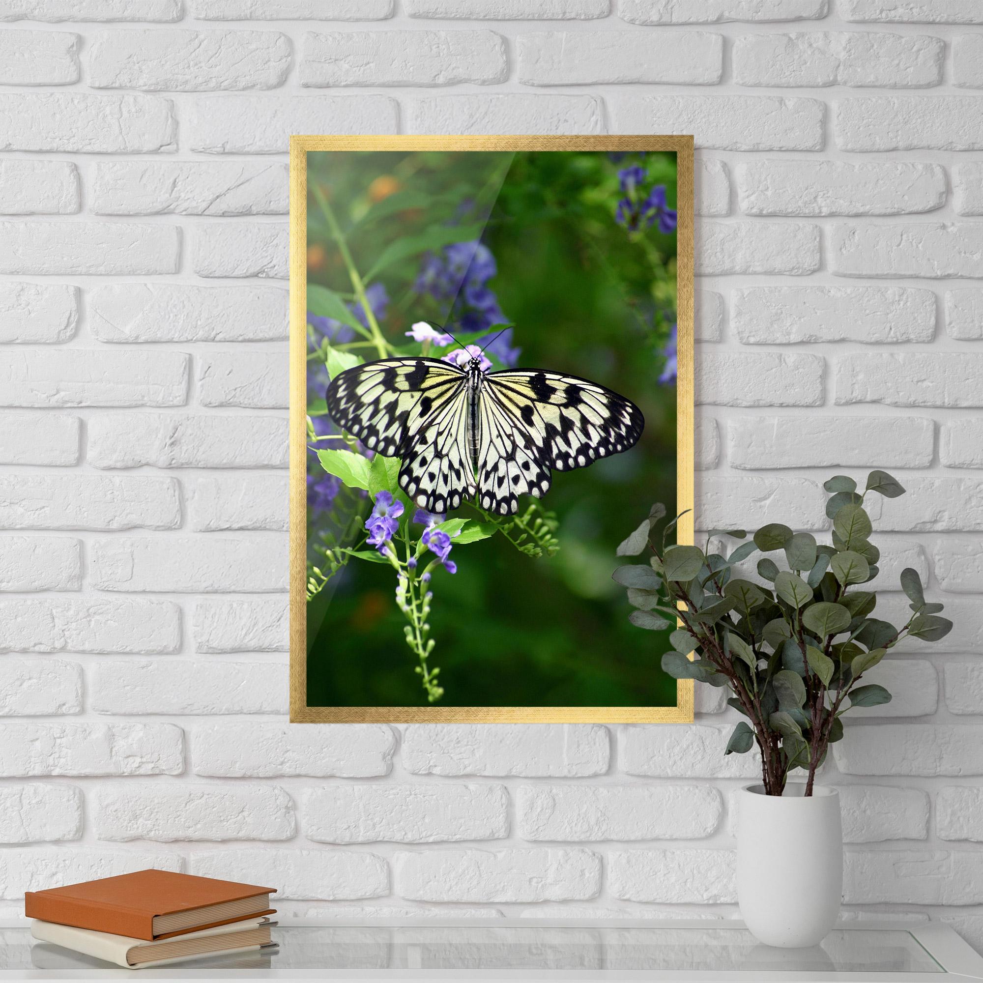 Plakat w Ramie Pretty White Butterfly mockup 5