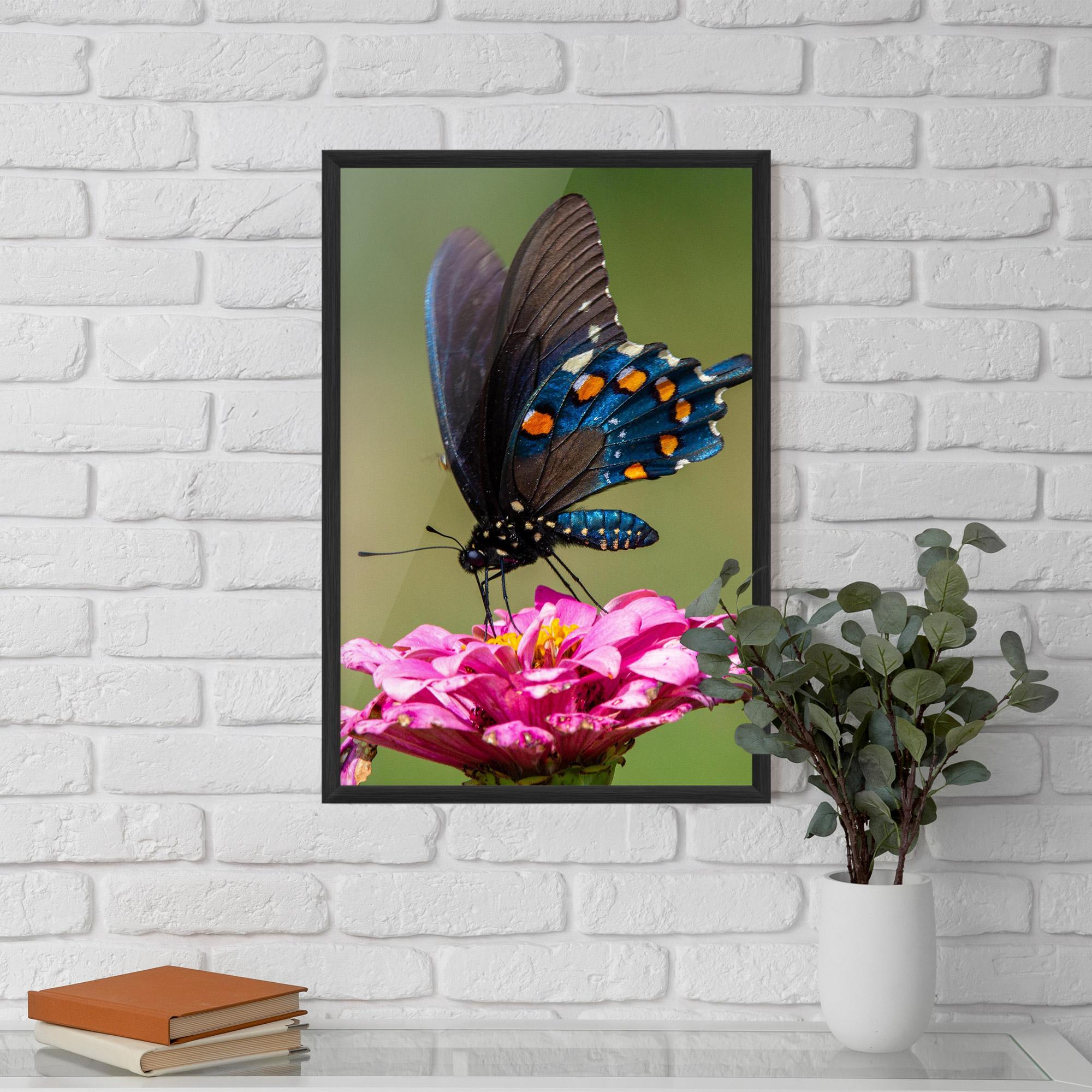 Plakat w Ramie Blue Grey Butterfly mockup 5