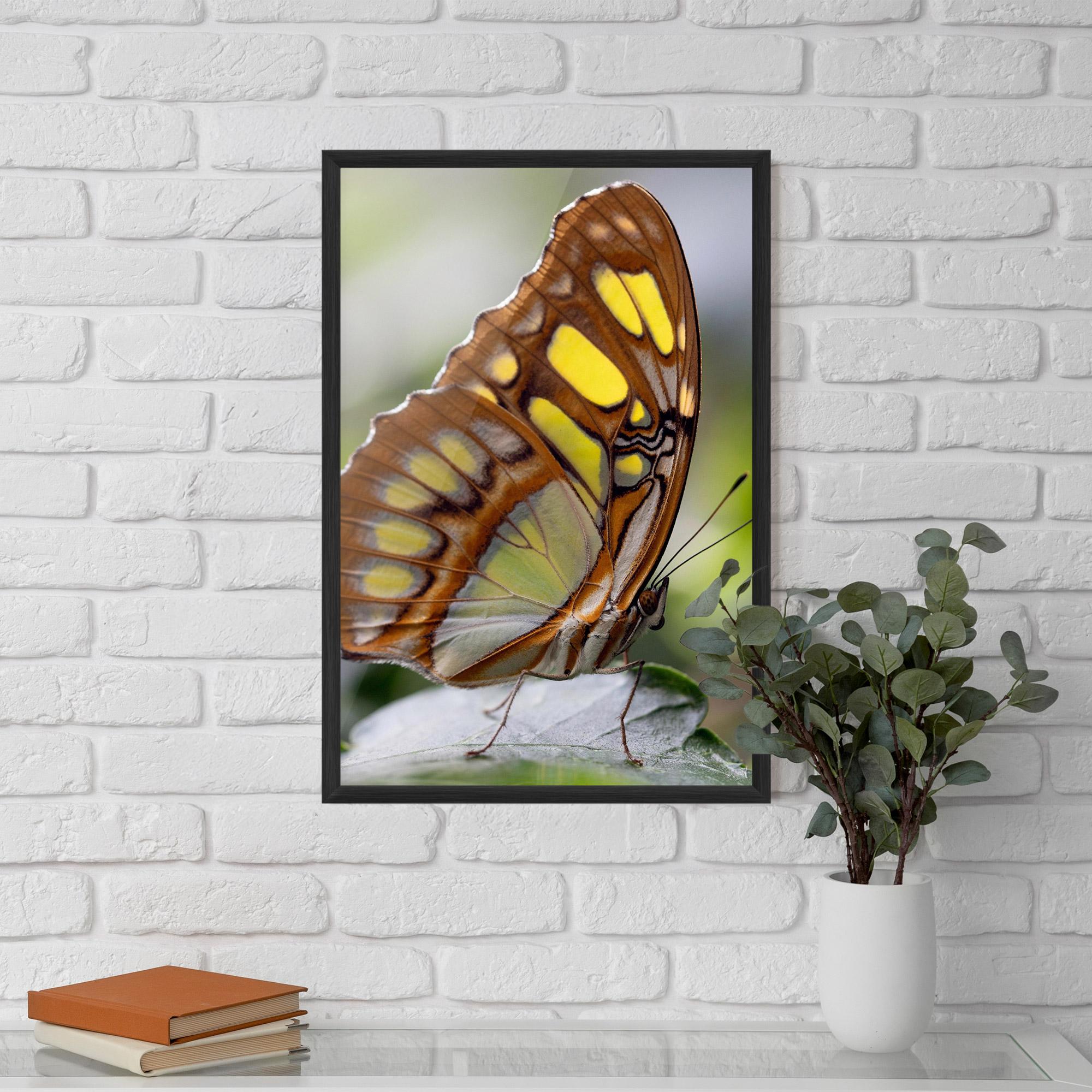 Plakat w Ramie Brown Yellow Butterfly mockup 5