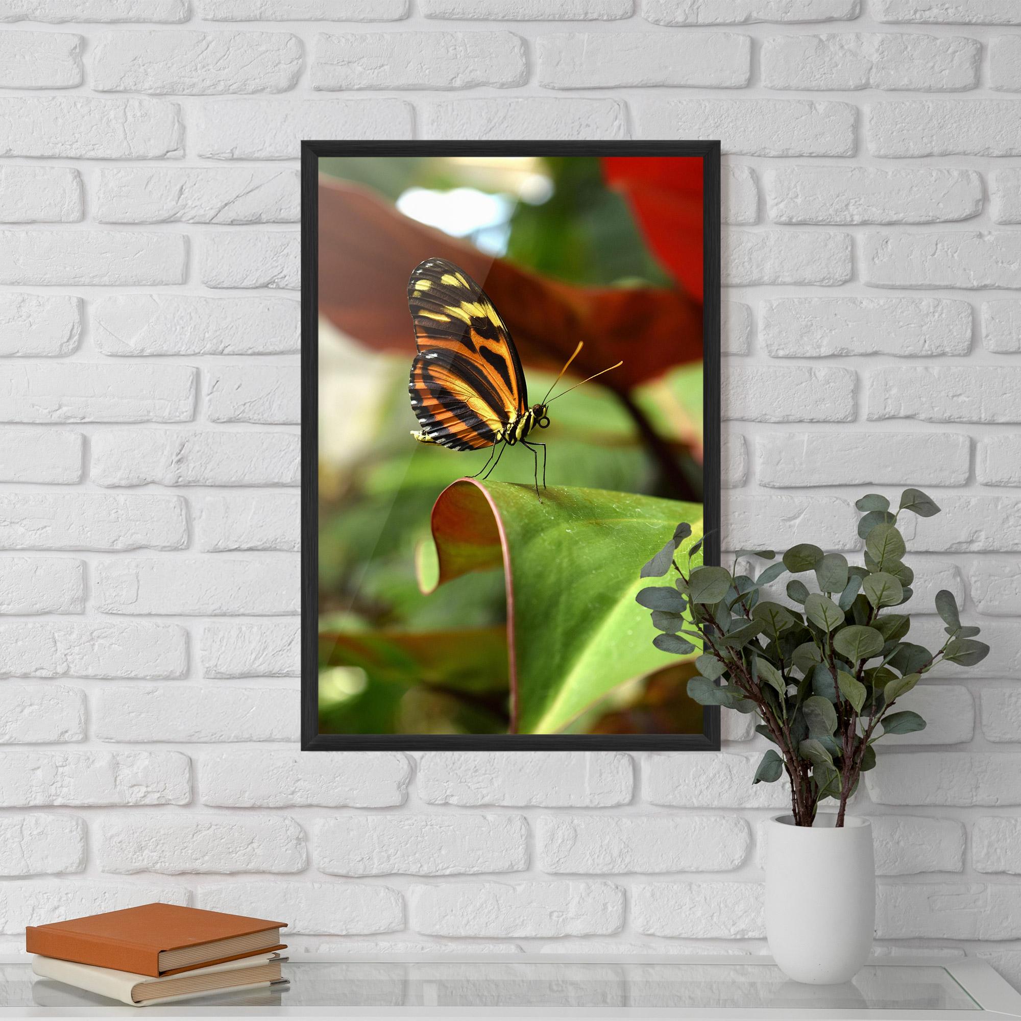 Plakat w Ramie Orange Yellow Butterfly mockup 5