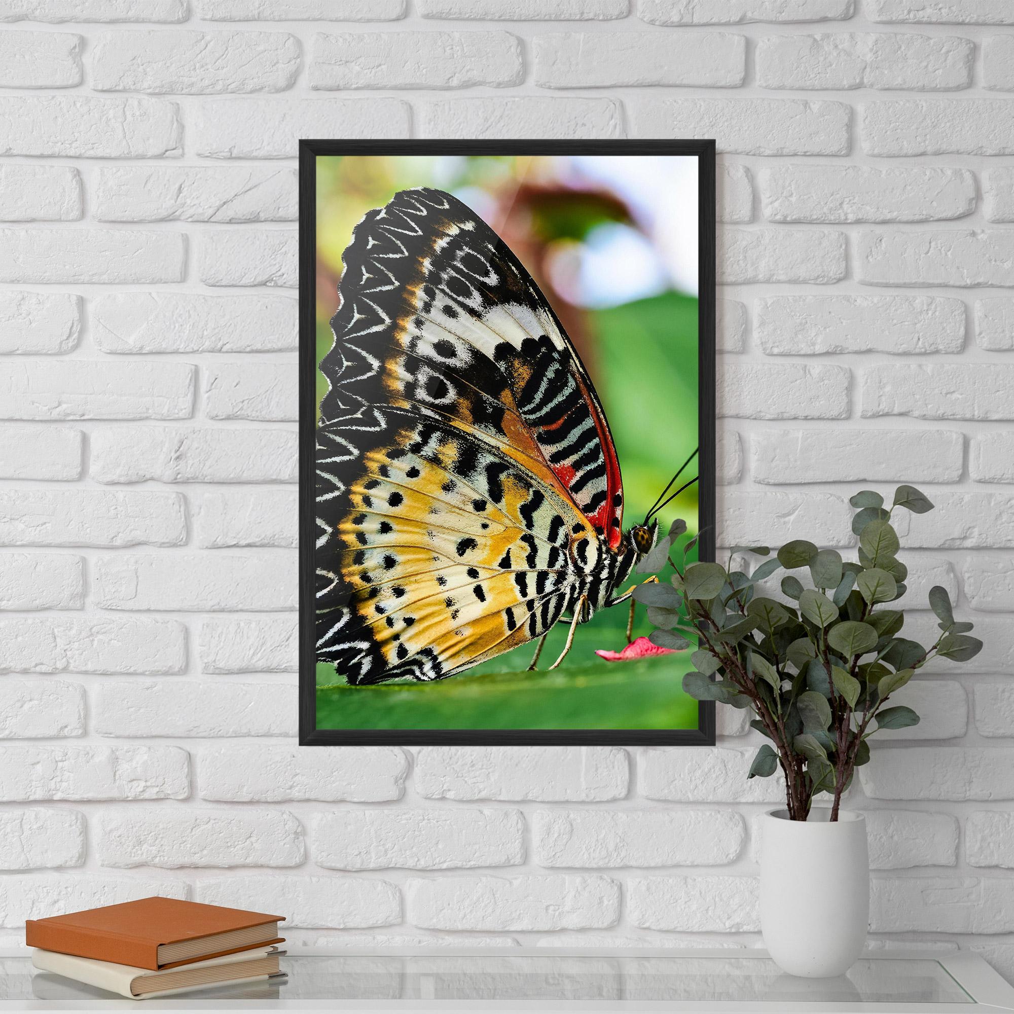 Plakat w Ramie Pretty Colorful Butterfly mockup 5