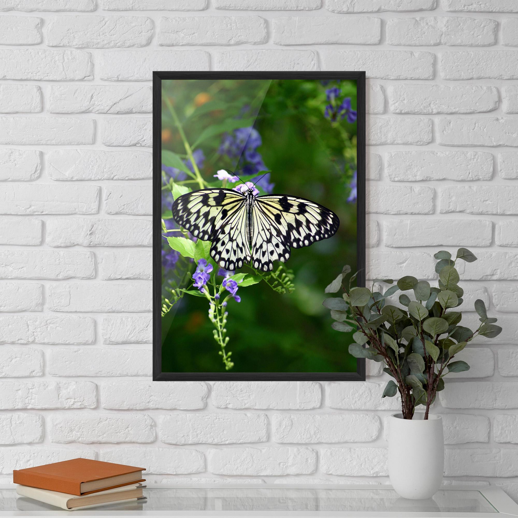 Plakat w Ramie Pretty White Butterfly mockup 5