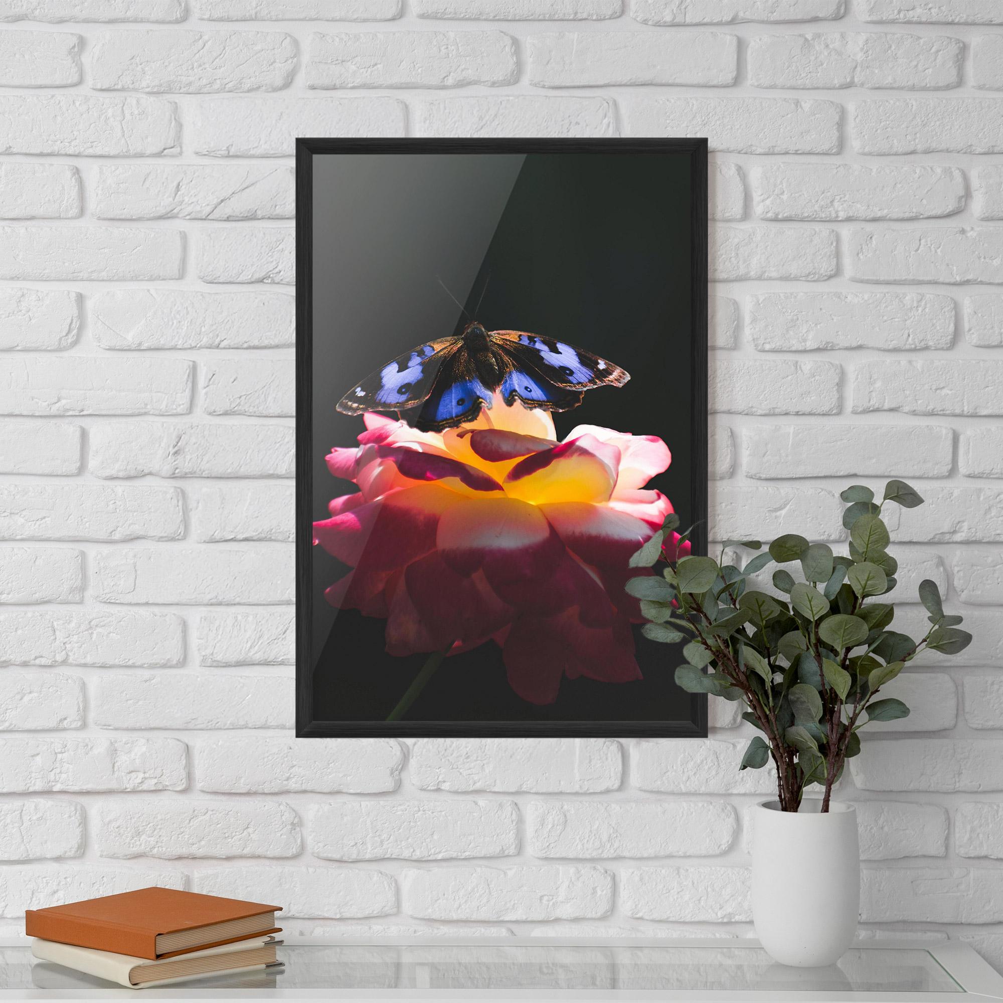 Plakat w Ramie Rose Butterfly mockup 5
