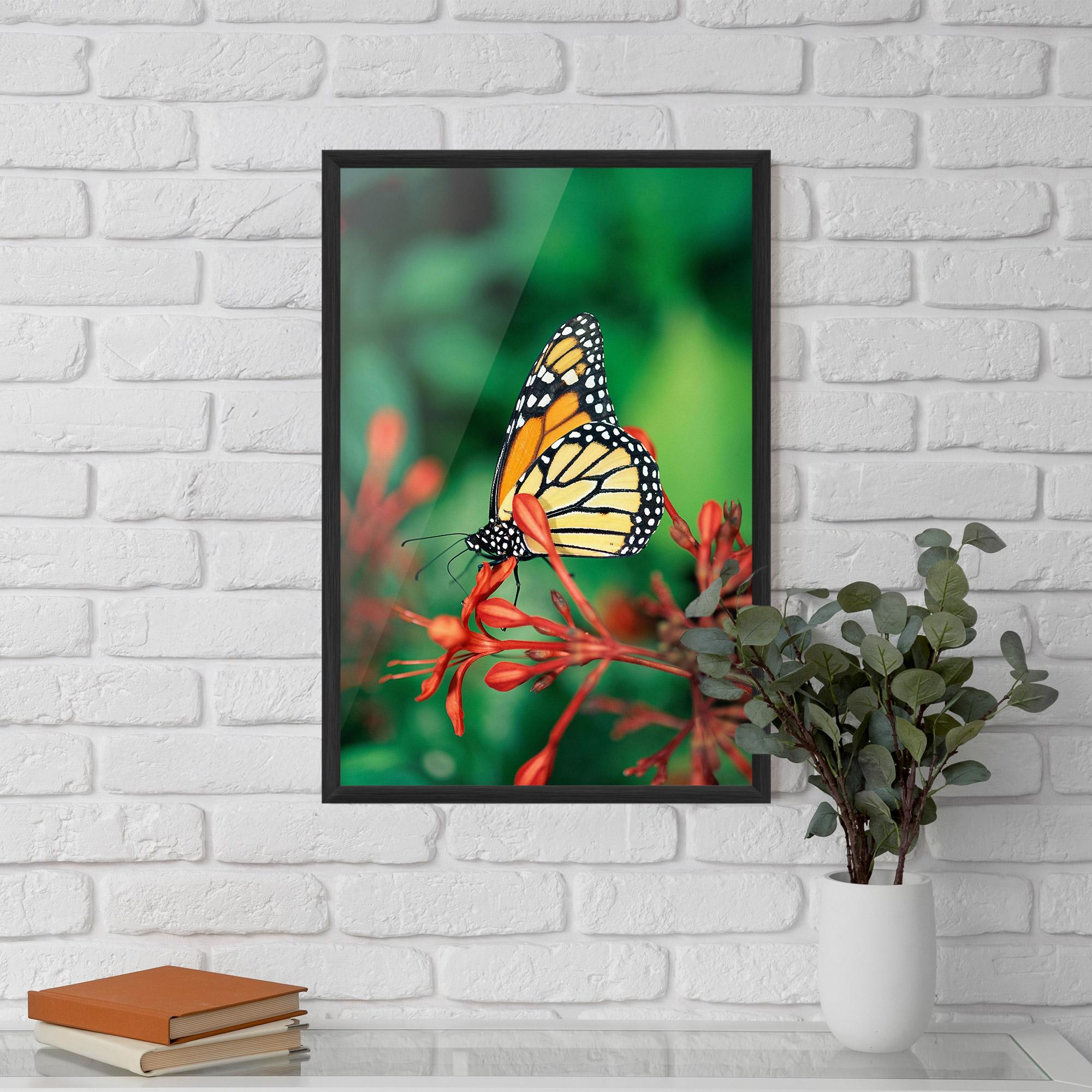 Plakat w Ramie Small Orange Butterfly mockup 5