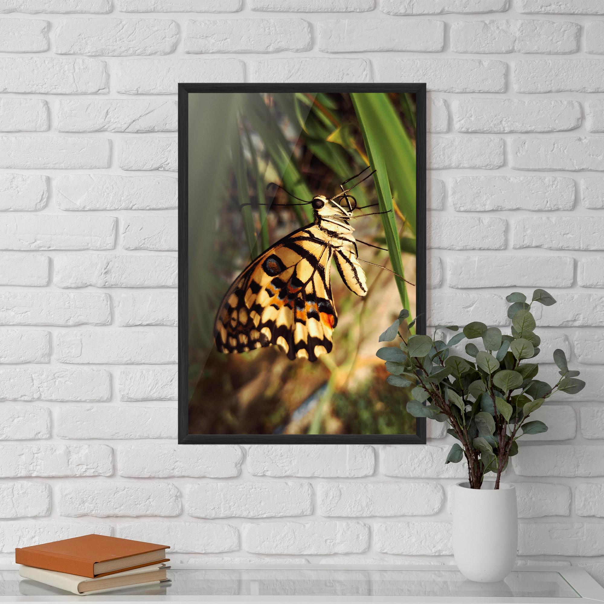 Plakat w Ramie Wild Brown Butterfly mockup 5