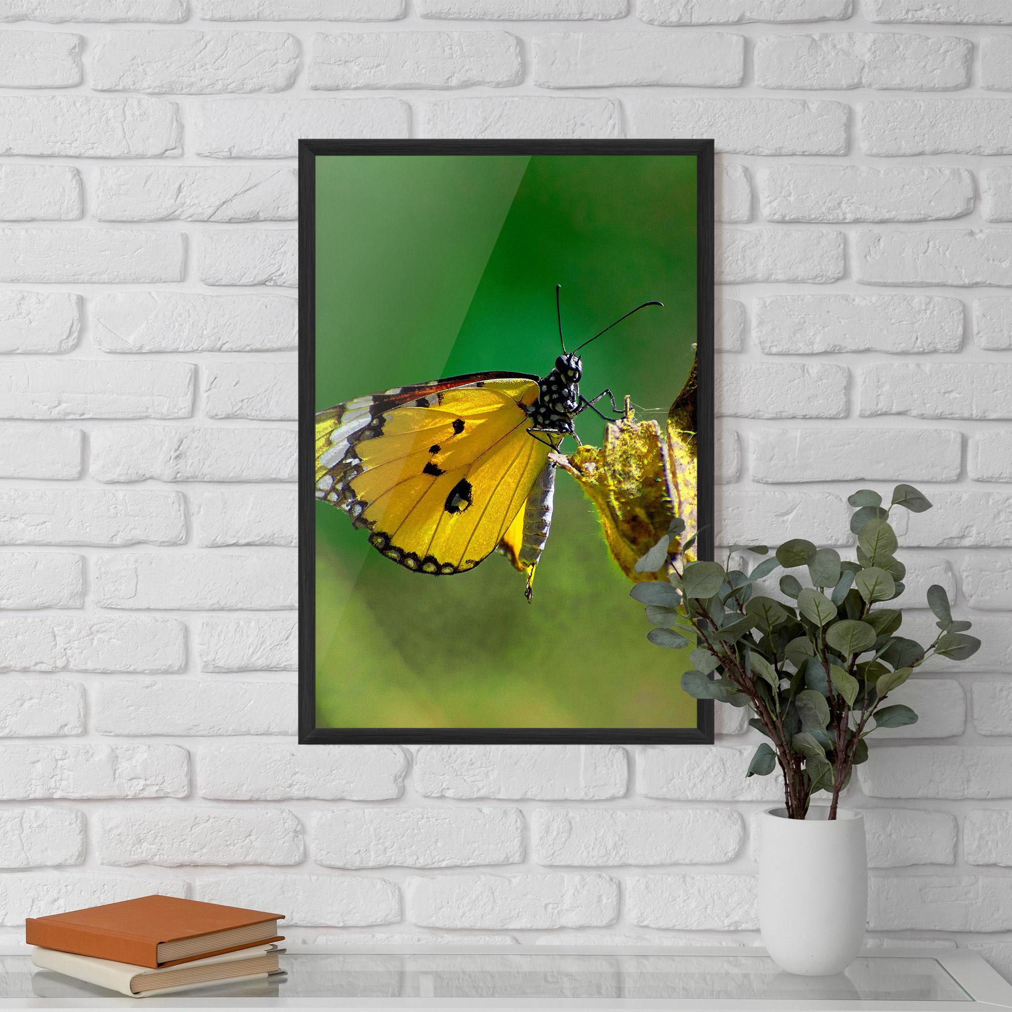 Plakat w Ramie Yellow White Butterfly mockup 5