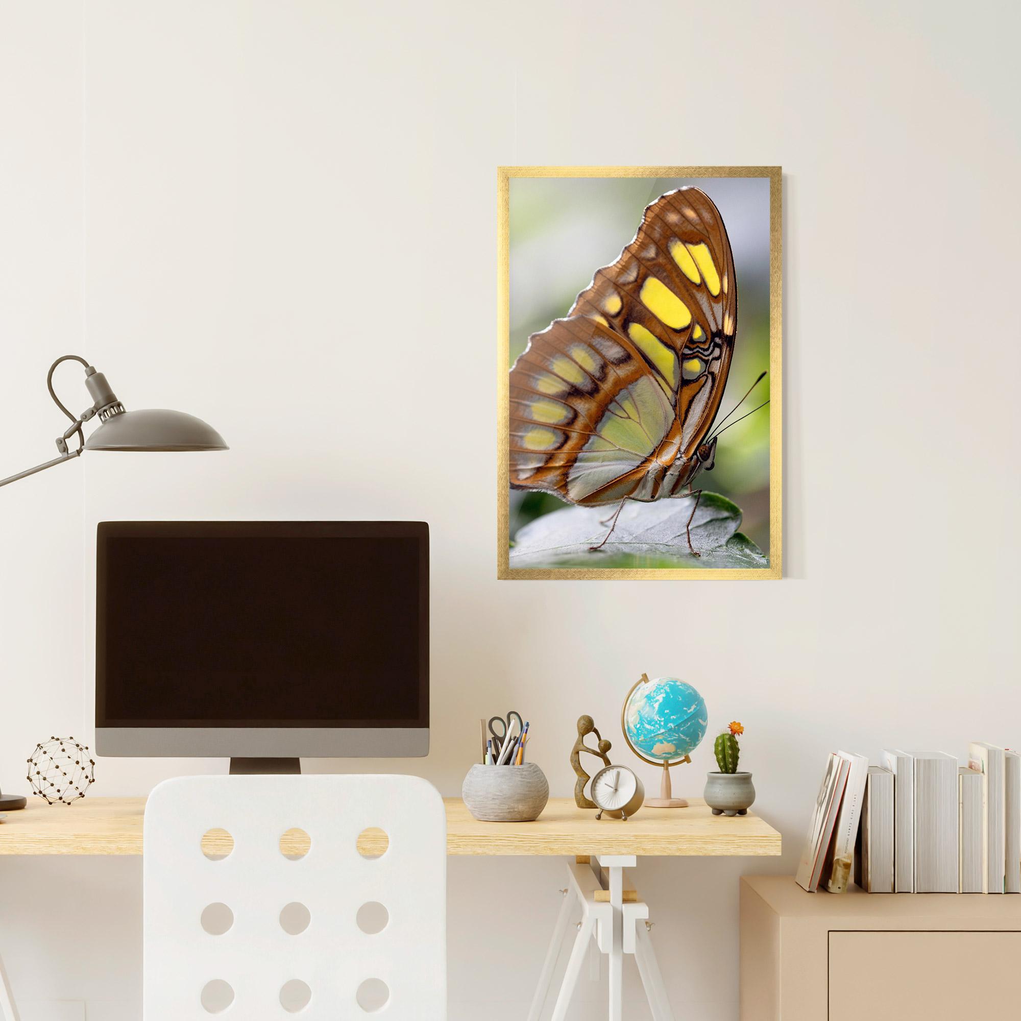 Plakat w Ramie Brown Yellow Butterfly mockup 6