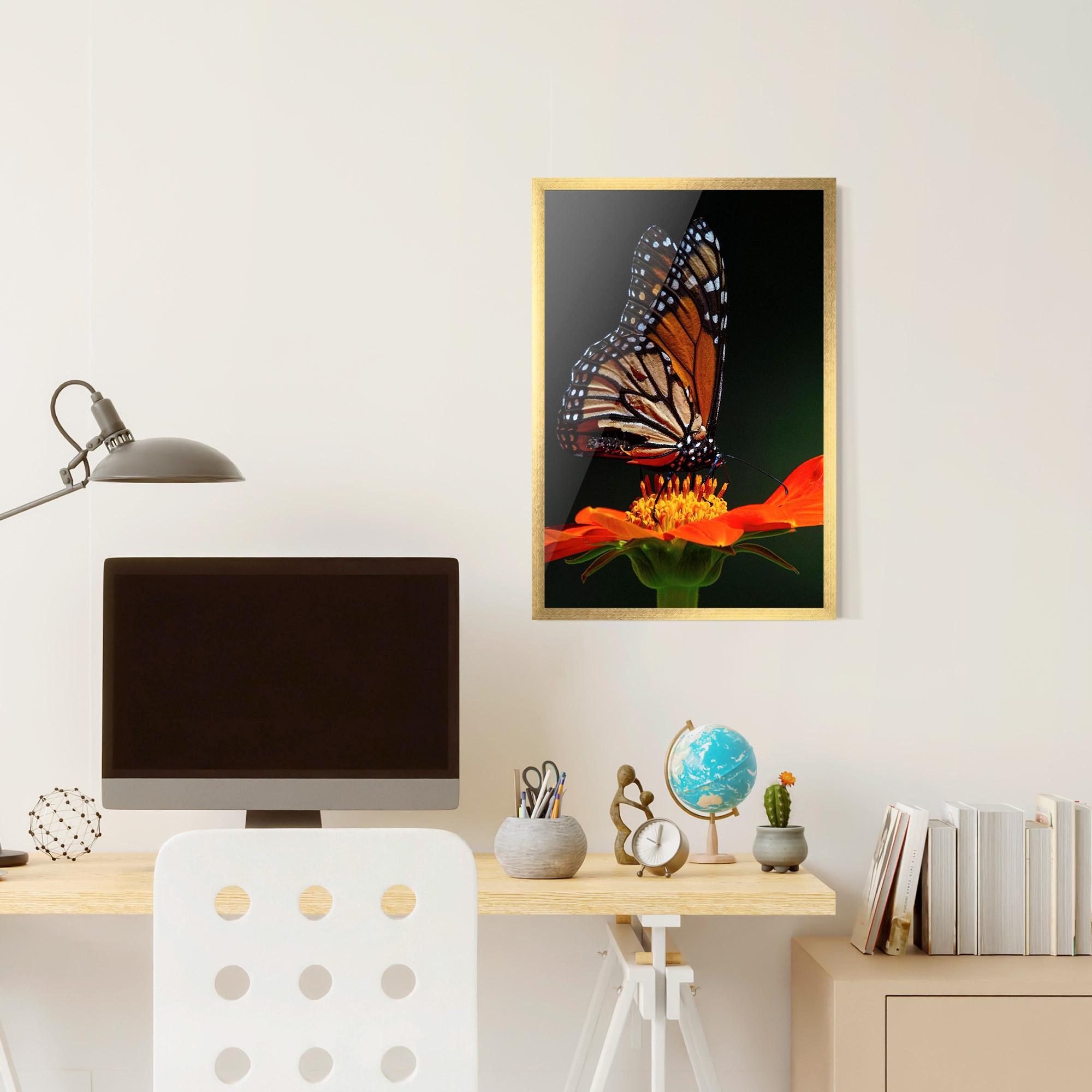 Plakat w Ramie Dark Orange Butterfy mockup 6