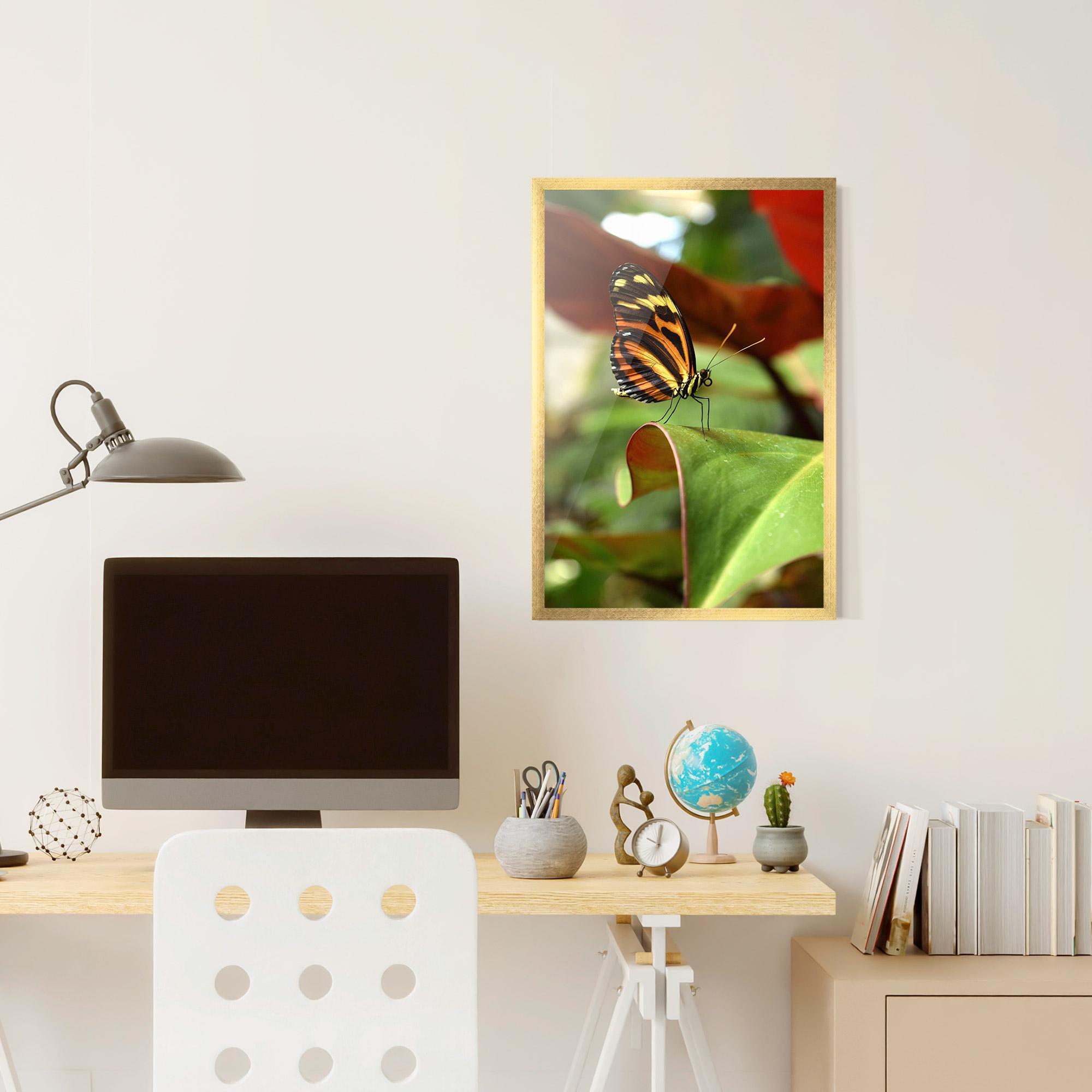 Plakat w Ramie Orange Yellow Butterfly mockup 6