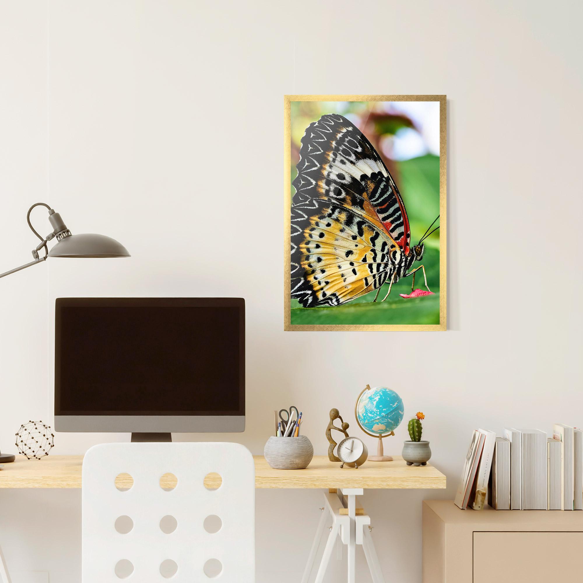 Plakat w Ramie Pretty Colorful Butterfly mockup 6