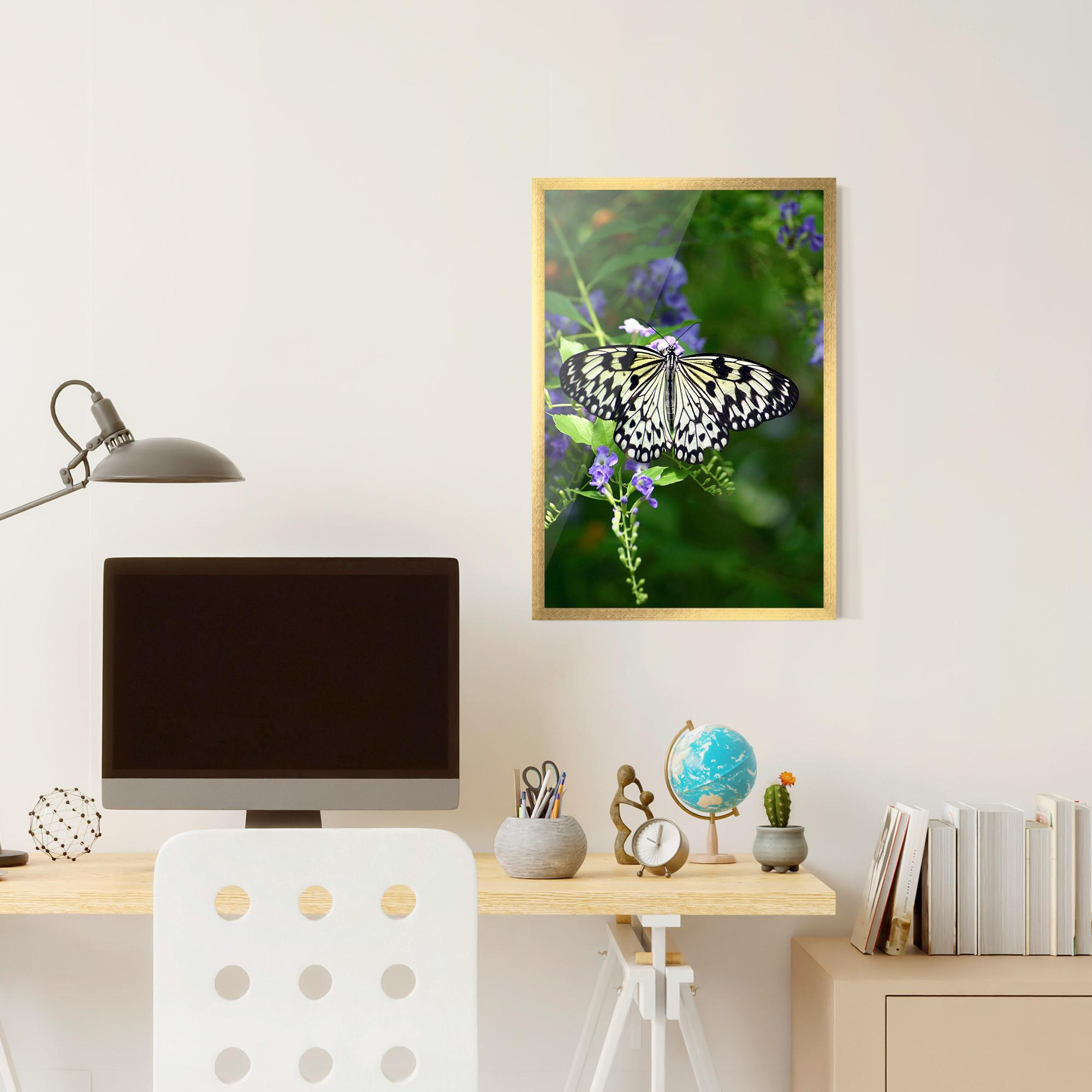 Plakat w Ramie Pretty White Butterfly mockup 6
