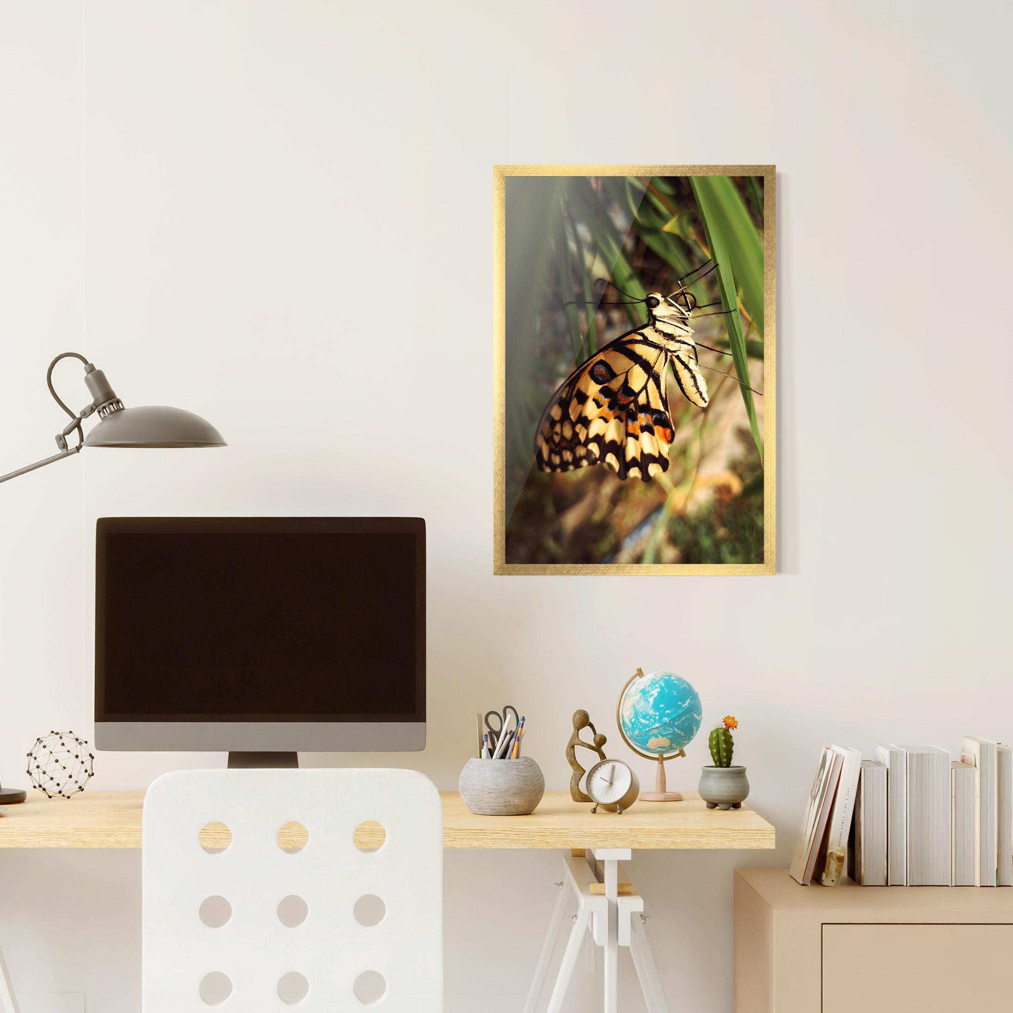 Plakat w Ramie Wild Brown Butterfly mockup 6