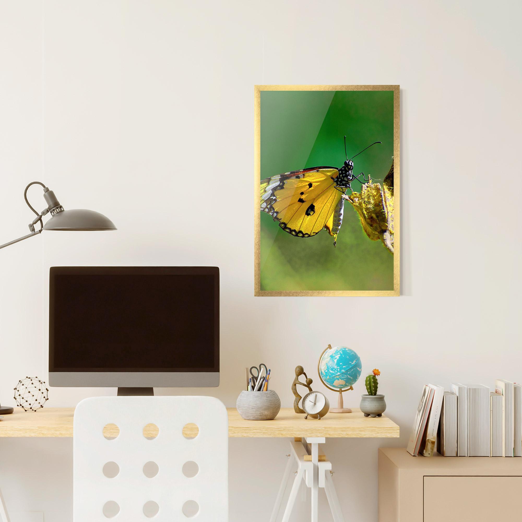 Plakat w Ramie Yellow White Butterfly mockup 6