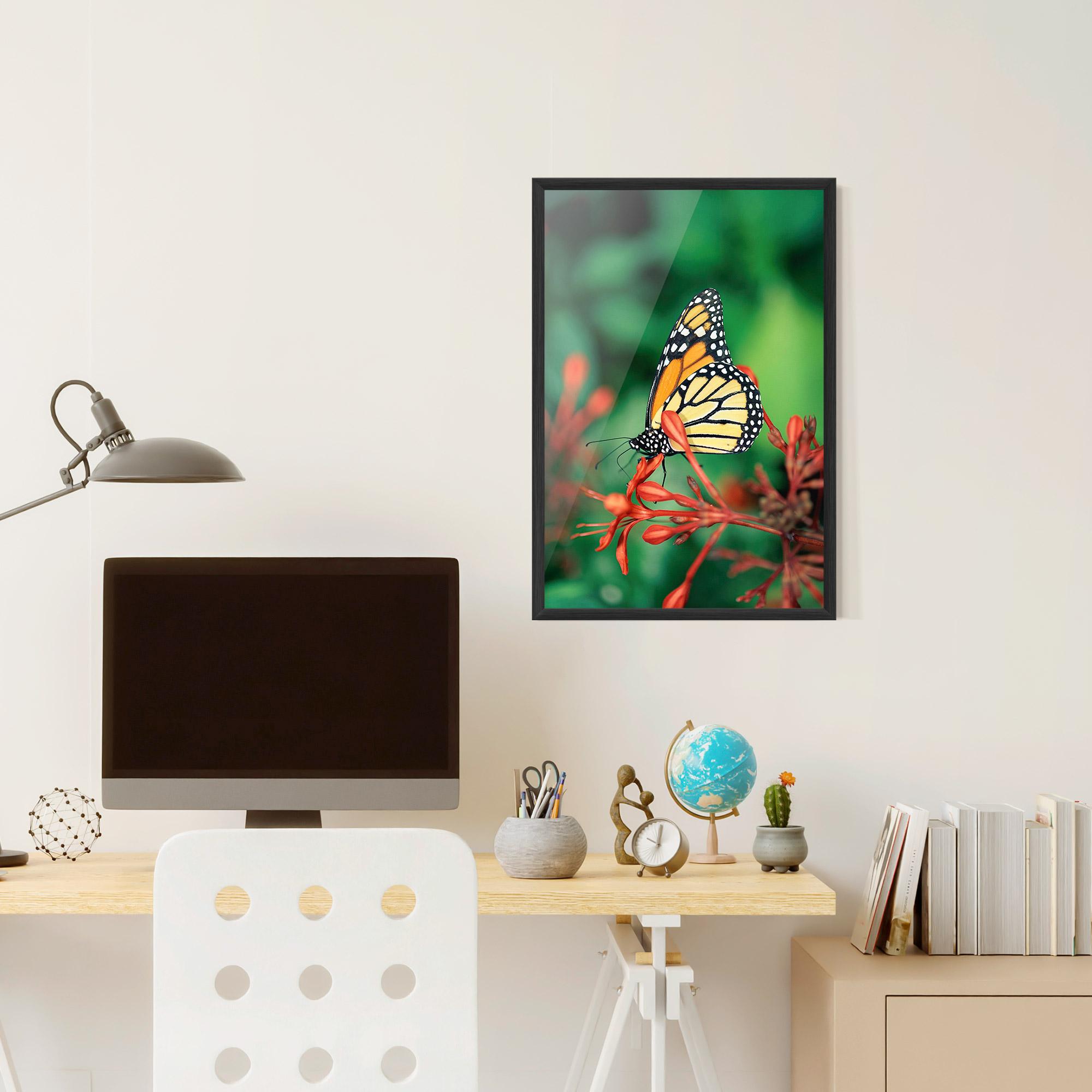 Plakat w Ramie Small Orange Butterfly mockup 6