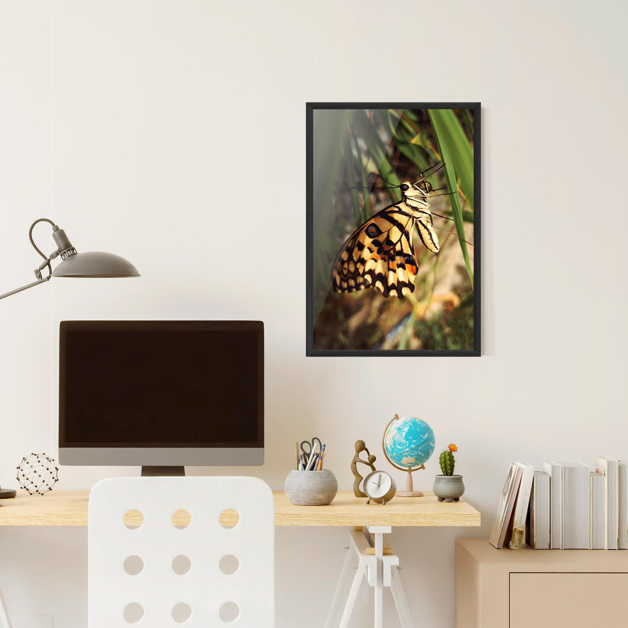 Plakat w Ramie Wild Brown Butterfly mockup 6