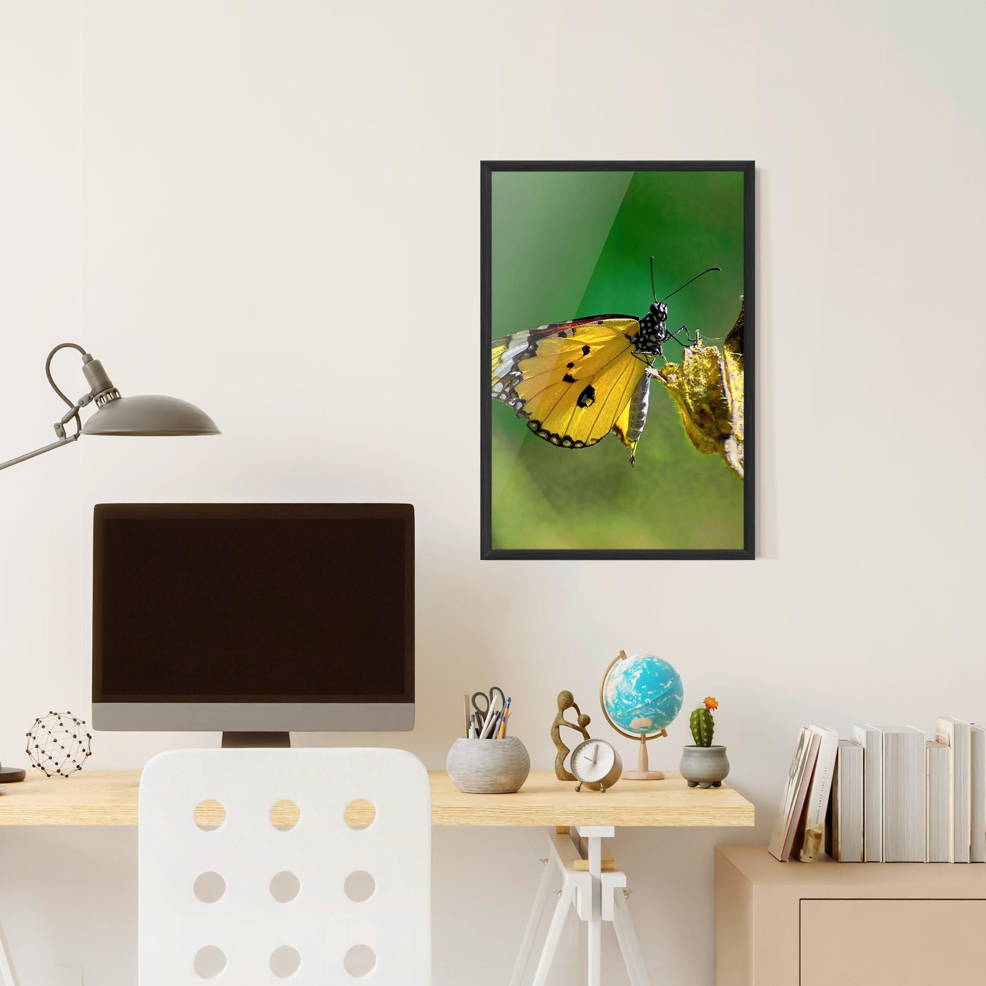 Plakat w Ramie Yellow White Butterfly mockup 6