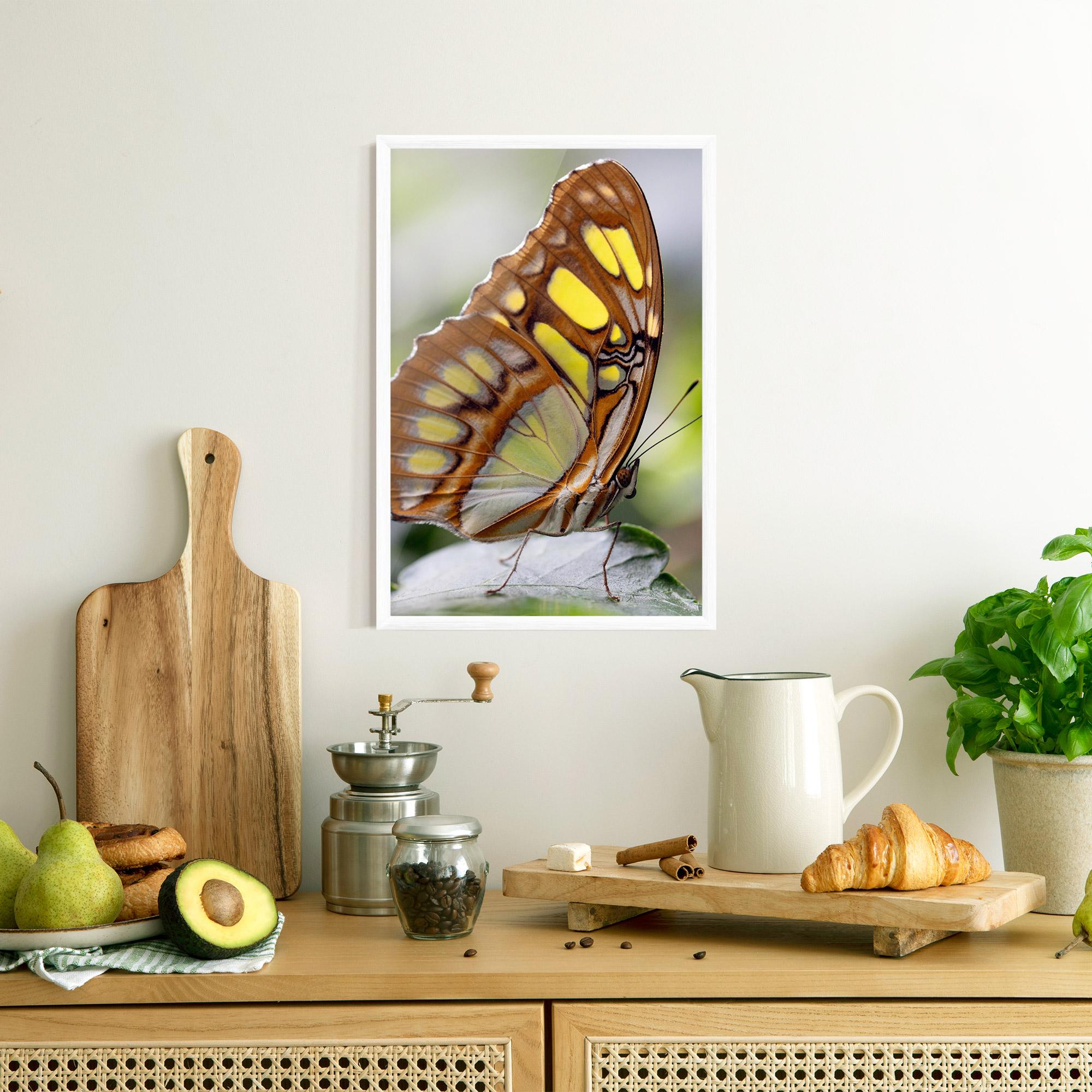 Plakat w Ramie Brown Yellow Butterfly mockup 8