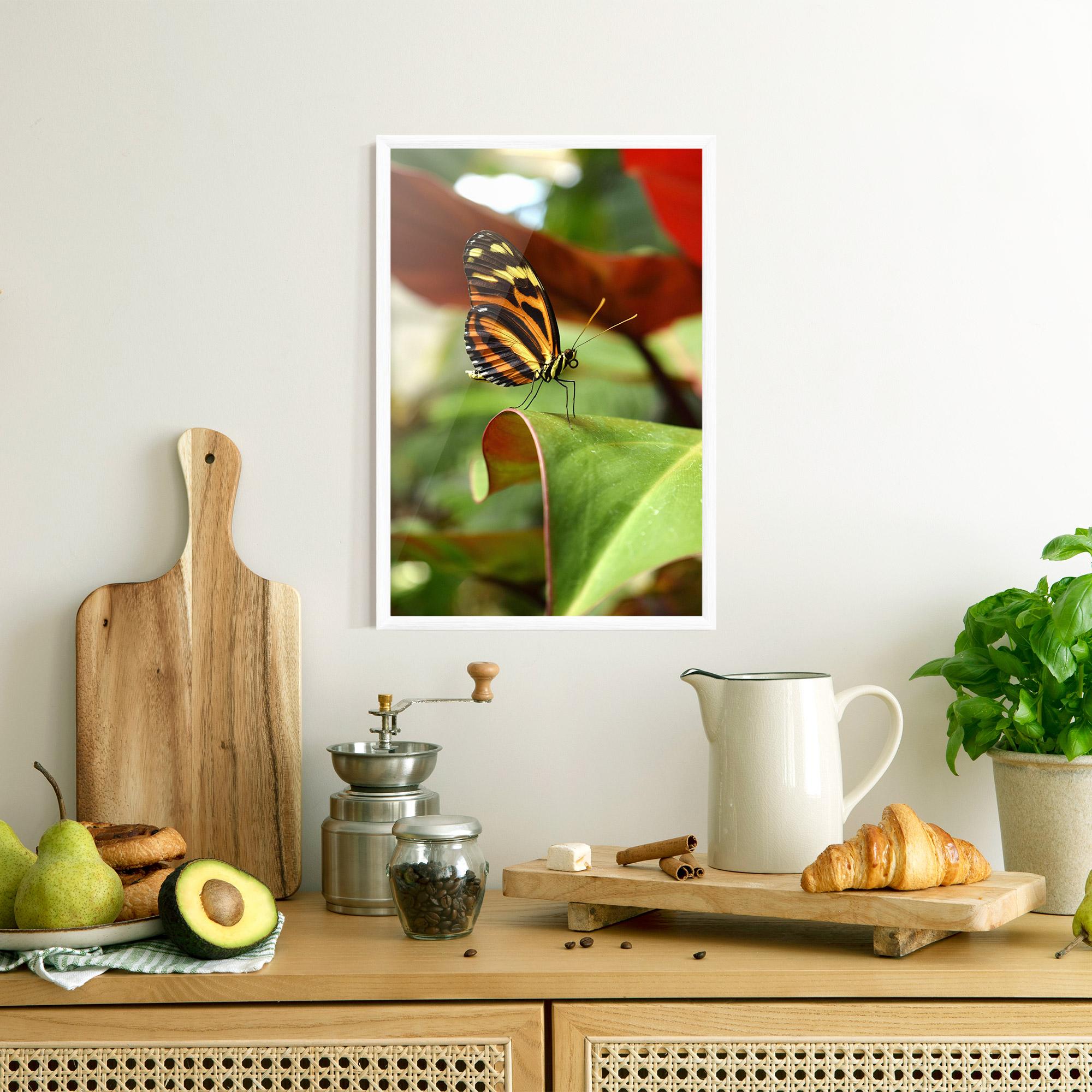 Plakat w Ramie Orange Yellow Butterfly mockup 8