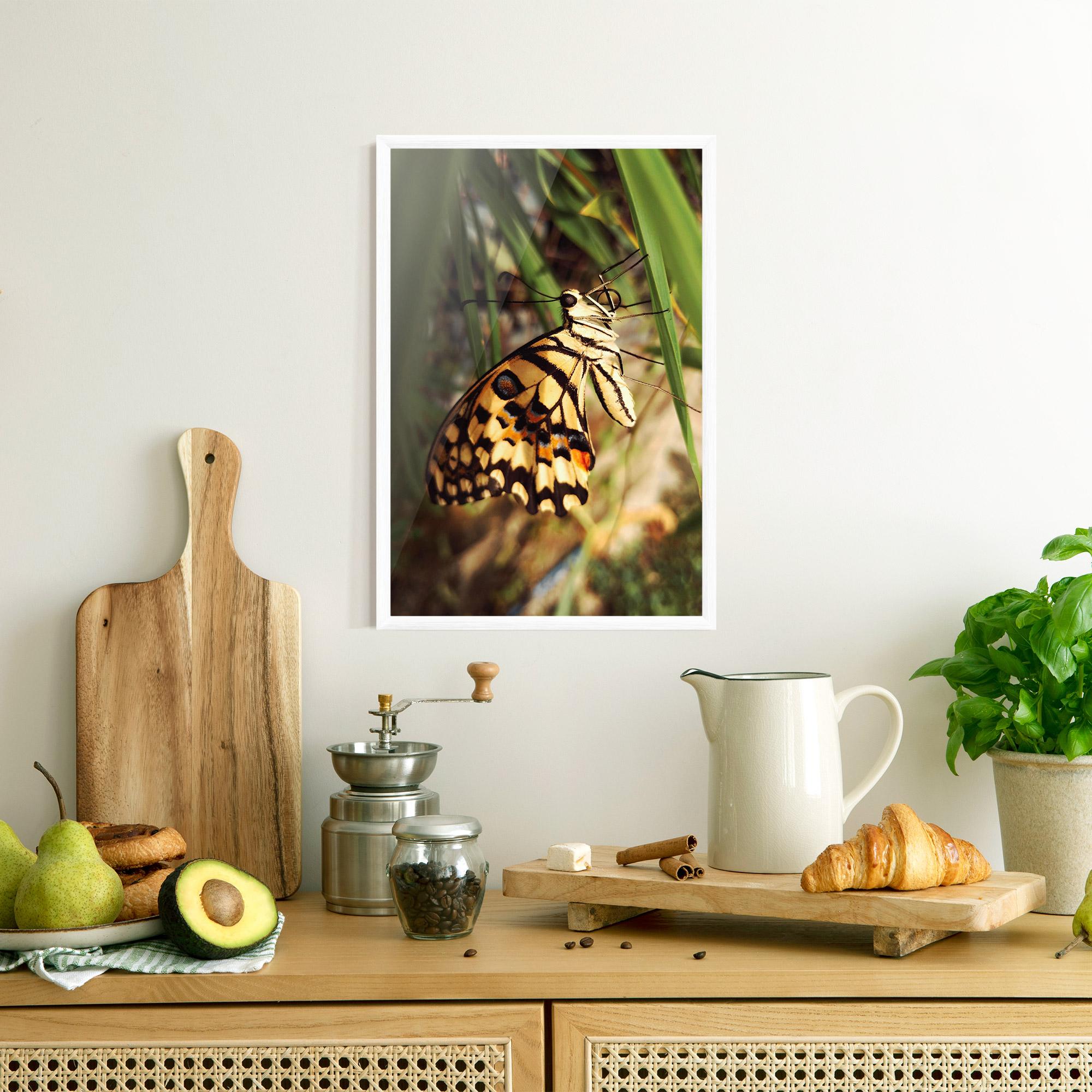 Plakat w Ramie Wild Brown Butterfly mockup 8