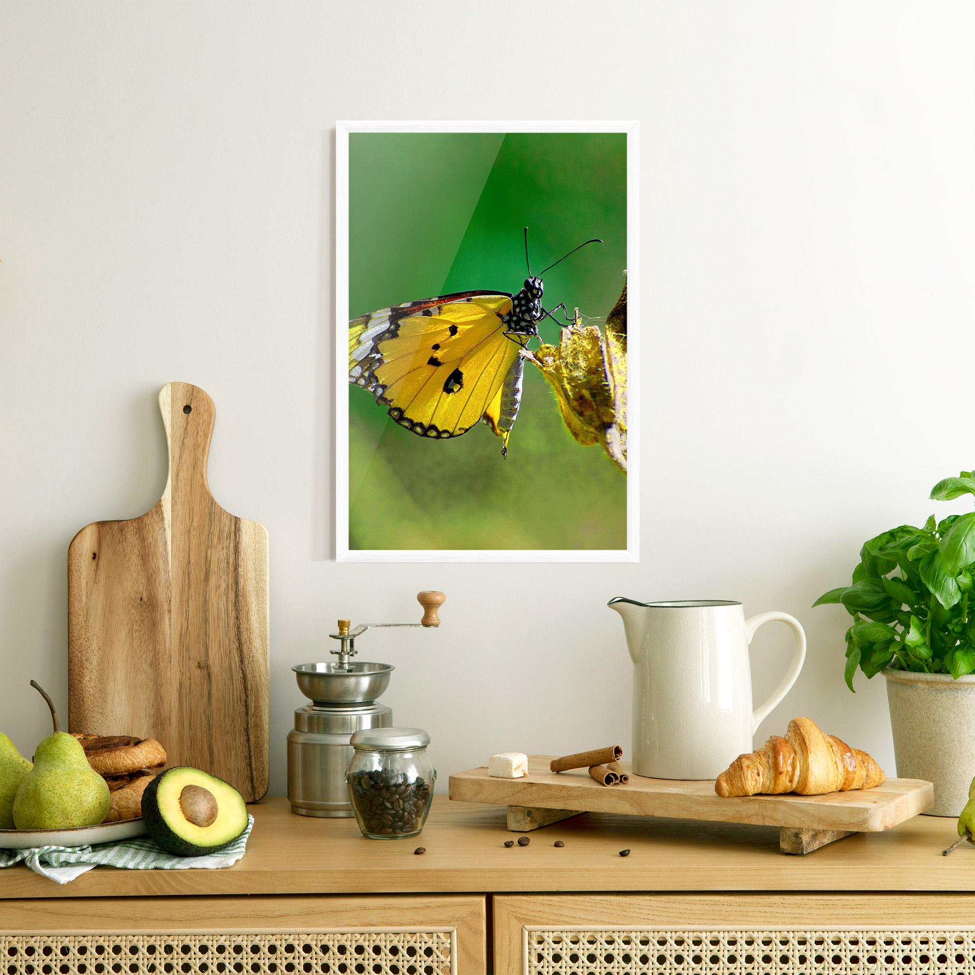 Plakat w Ramie Yellow White Butterfly mockup 8