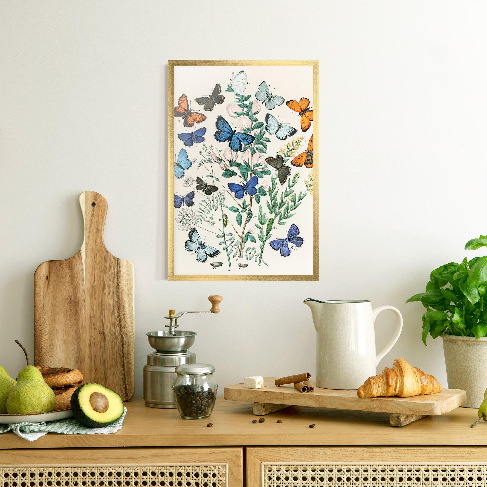 Plakat w Ramie Blue Orange Butterflies mockup 8