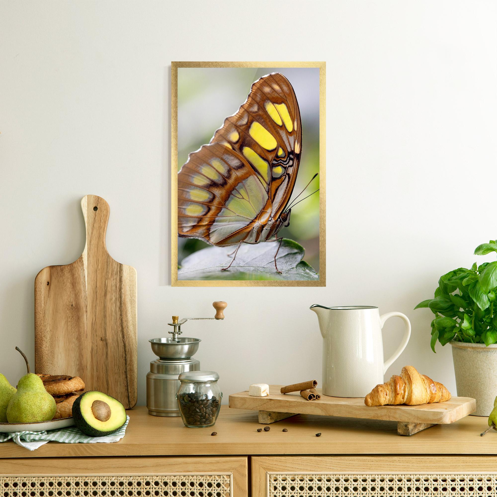 Plakat w Ramie Brown Yellow Butterfly mockup 8