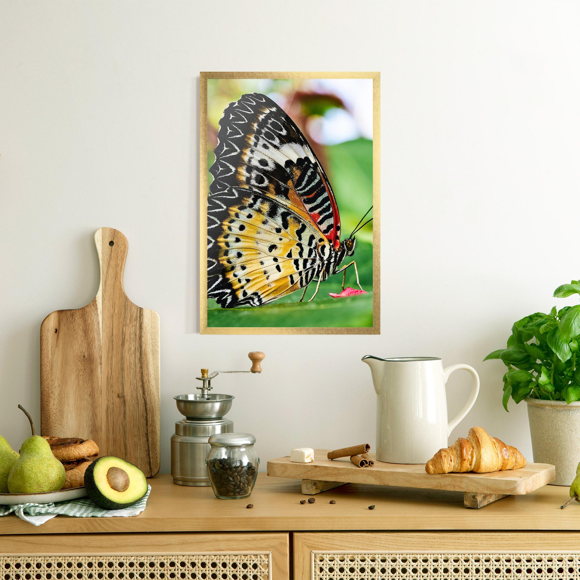 Plakat w Ramie Pretty Colorful Butterfly mockup 8