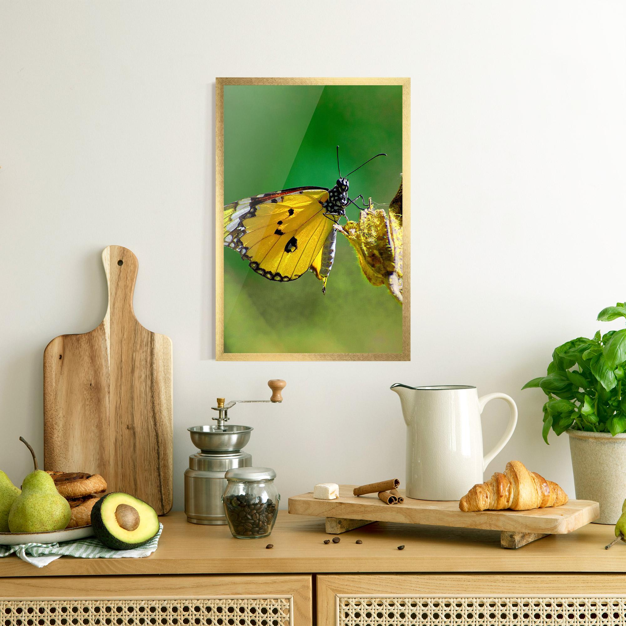 Plakat w Ramie Yellow White Butterfly mockup 8
