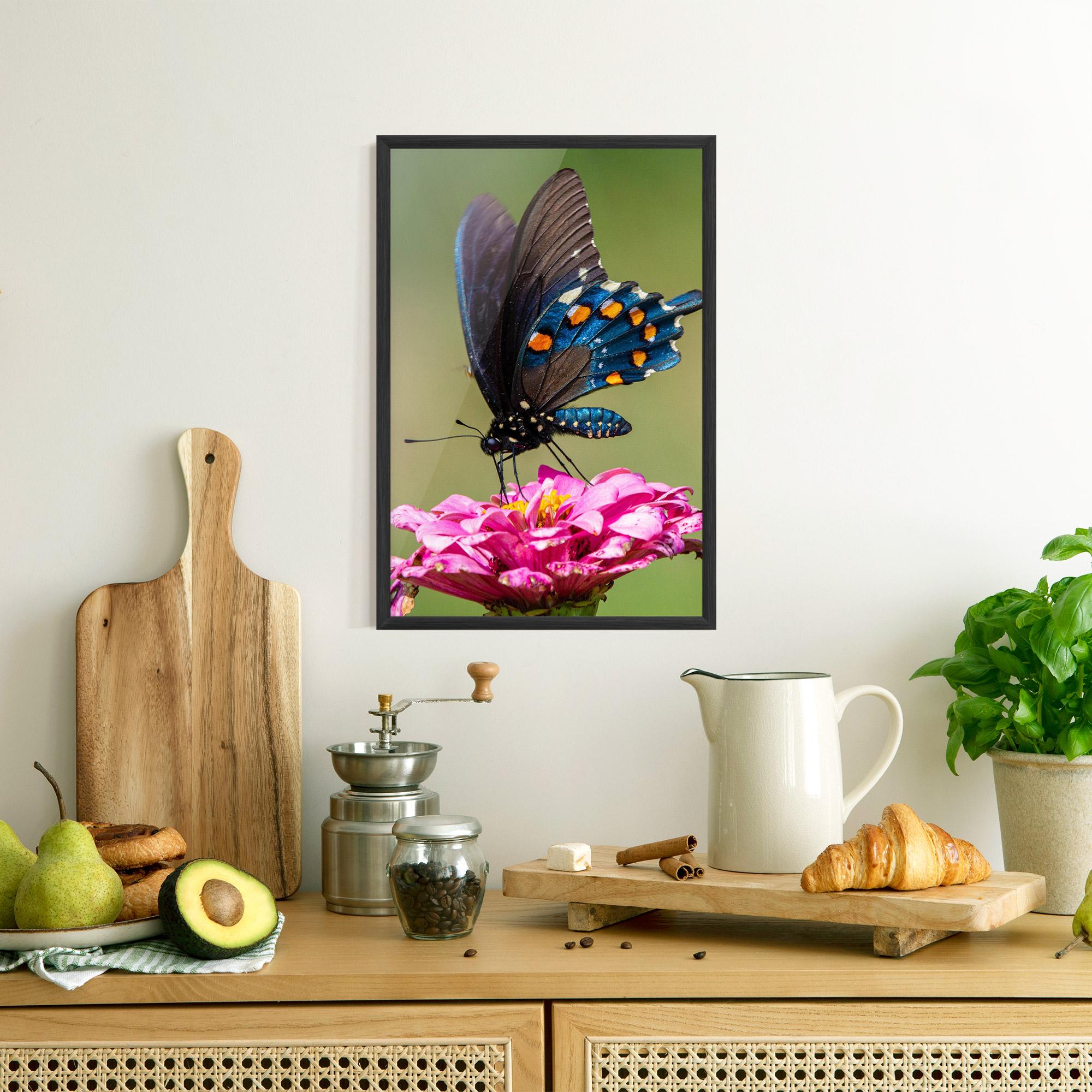 Plakat w Ramie Blue Grey Butterfly mockup 8