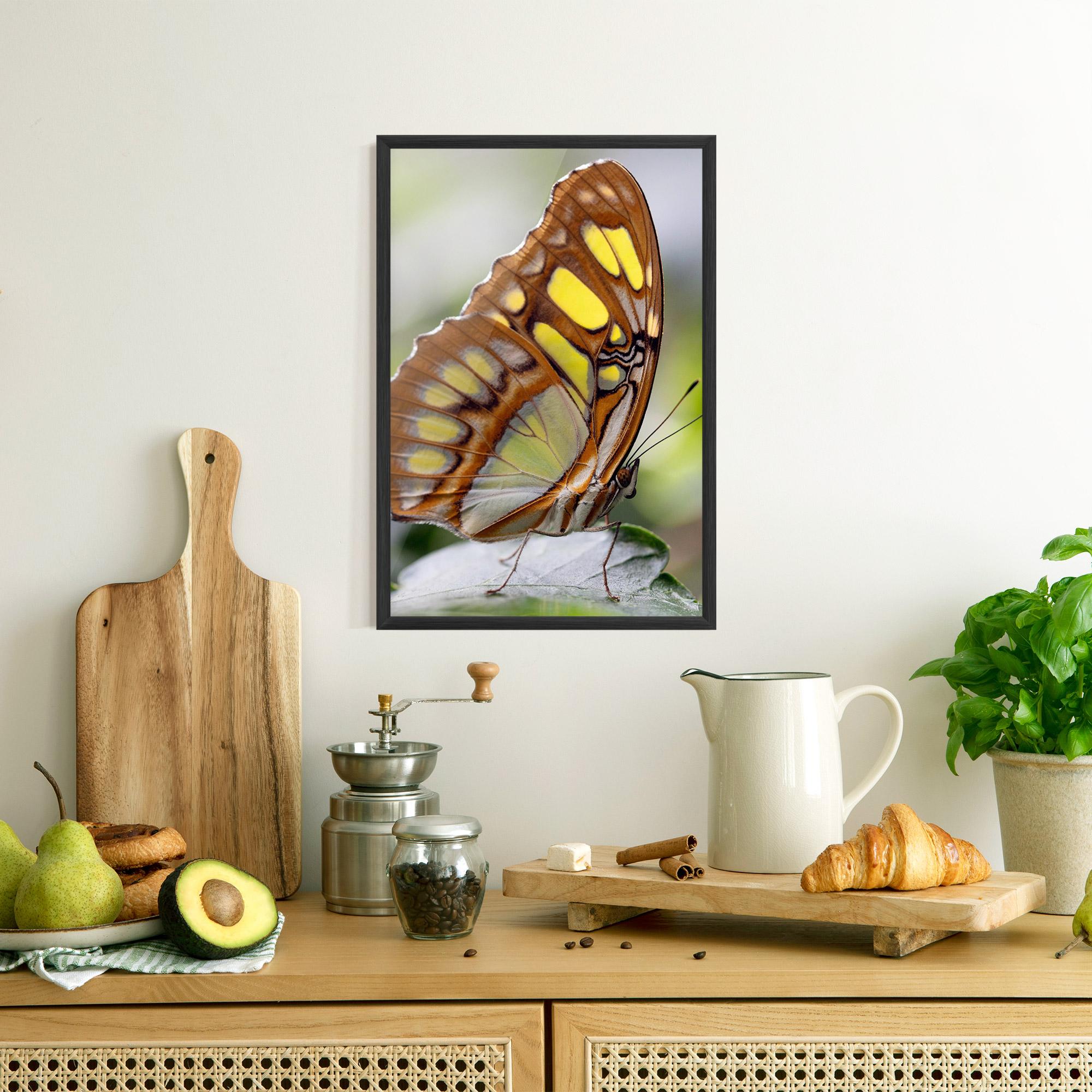 Plakat w Ramie Brown Yellow Butterfly mockup 8