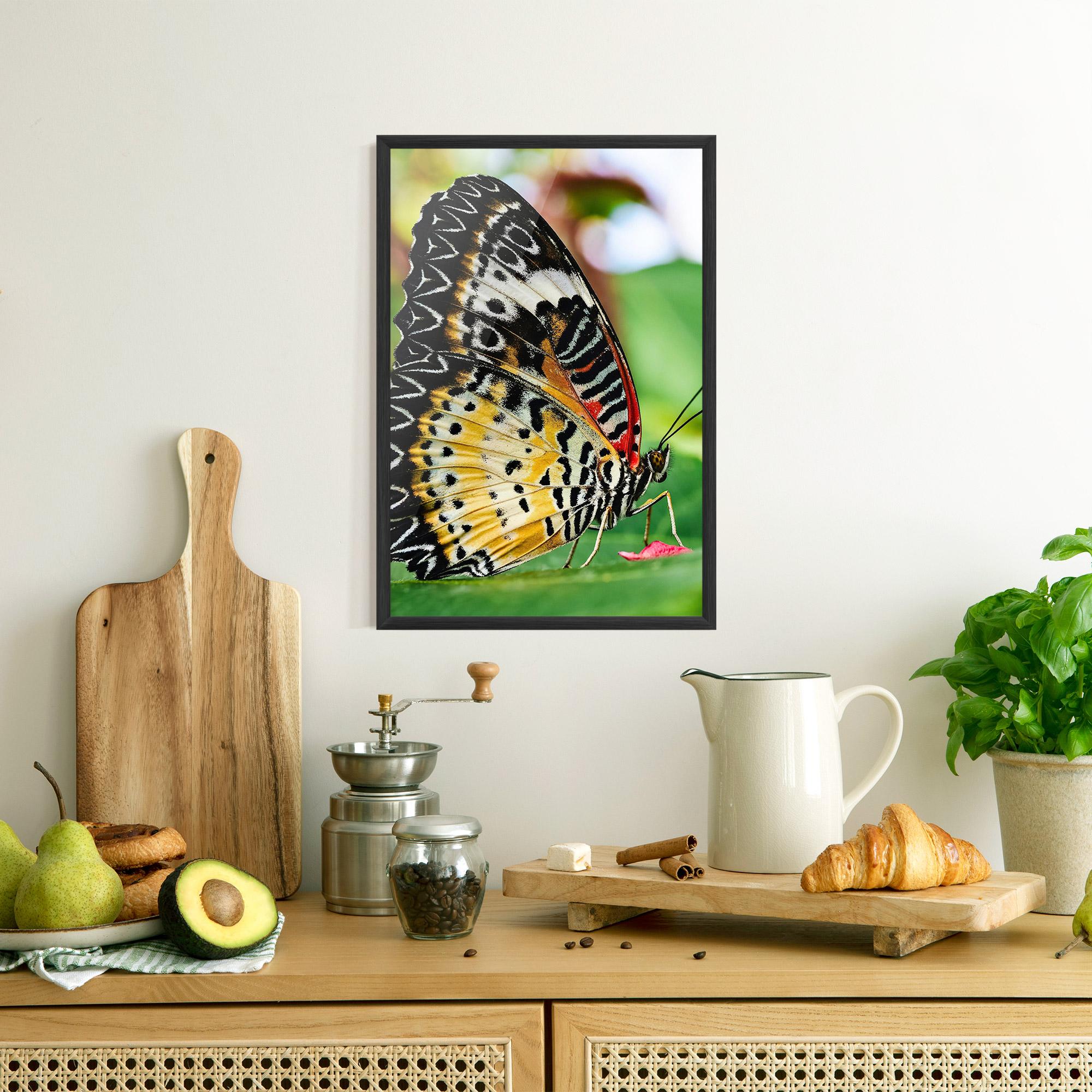 Plakat w Ramie Pretty Colorful Butterfly mockup 8