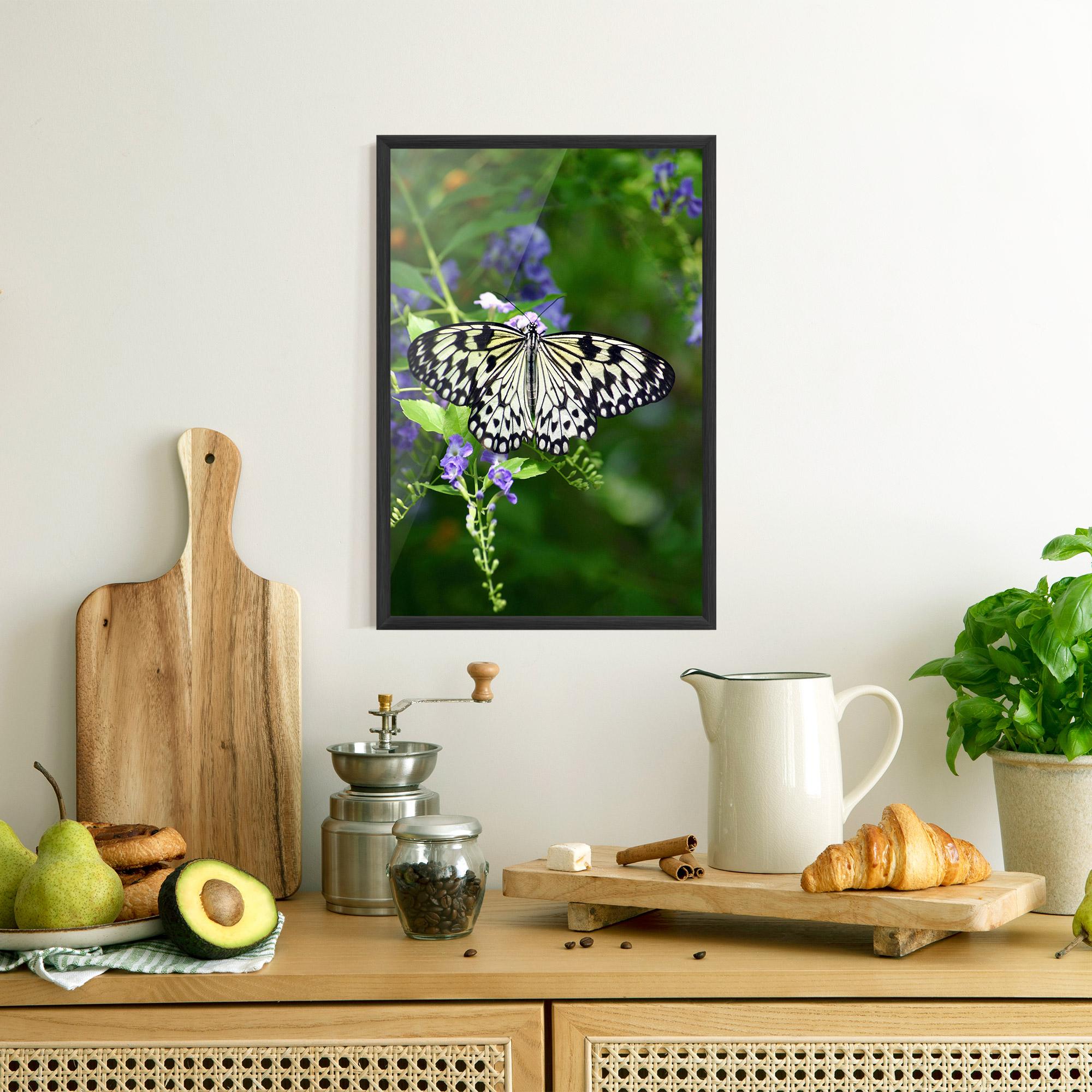 Plakat w Ramie Pretty White Butterfly mockup 8