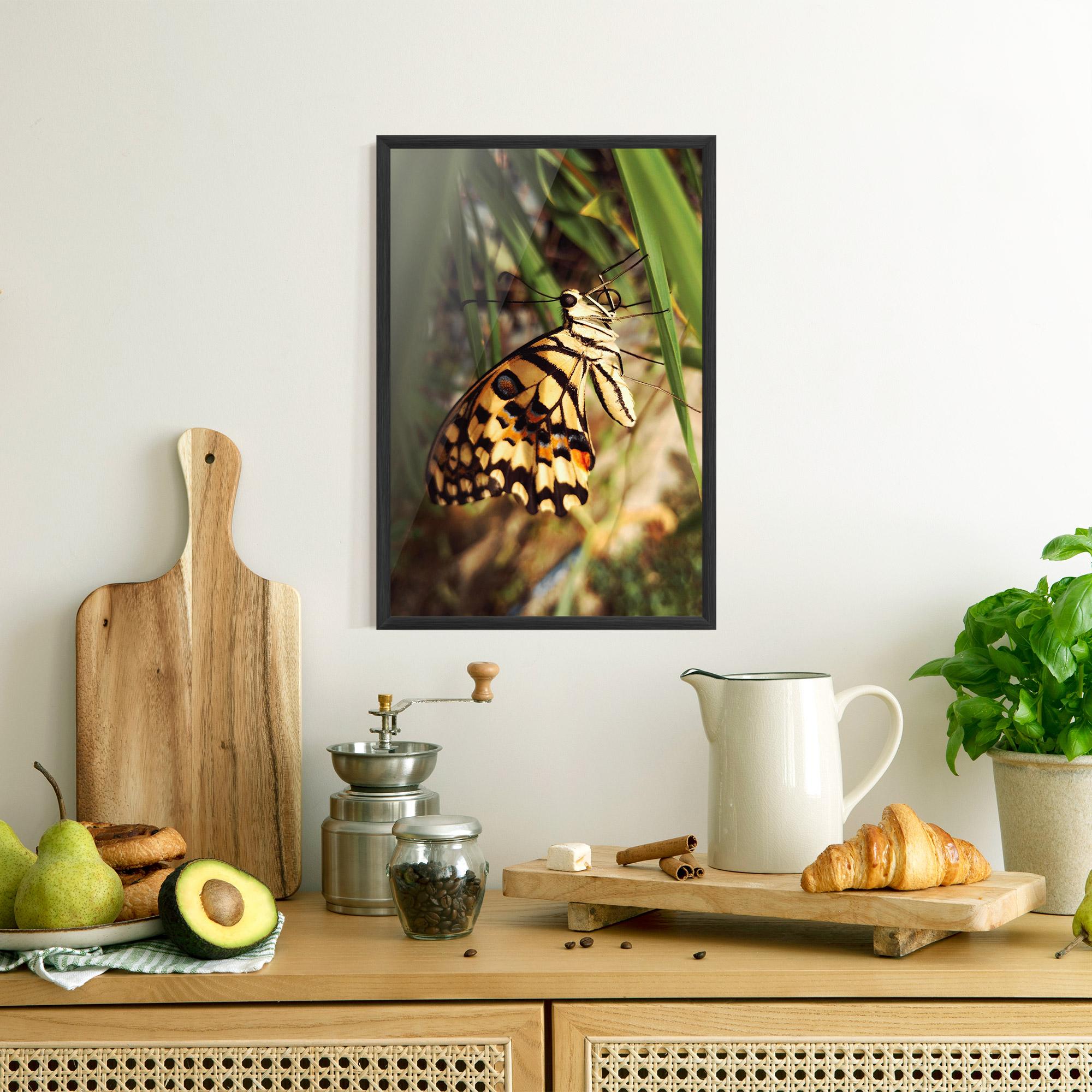 Plakat w Ramie Wild Brown Butterfly mockup 8