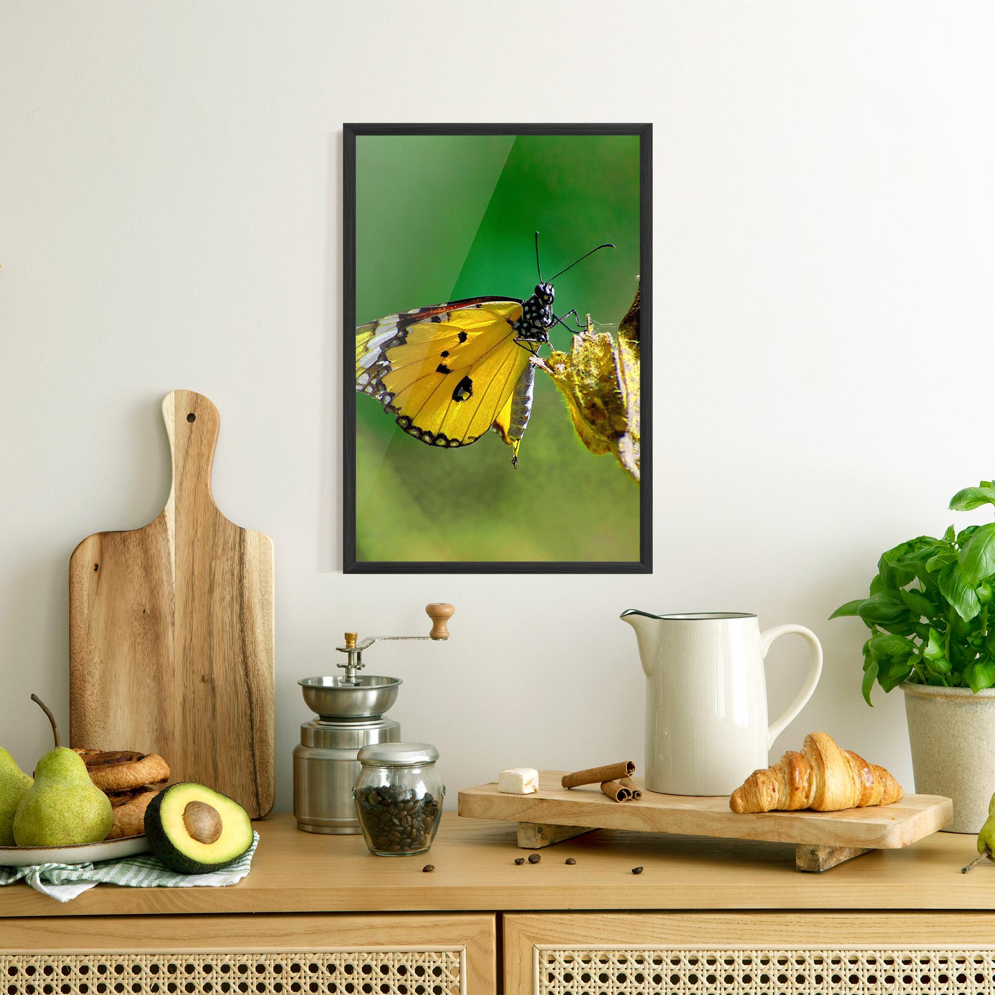 Plakat w Ramie Yellow White Butterfly mockup 8