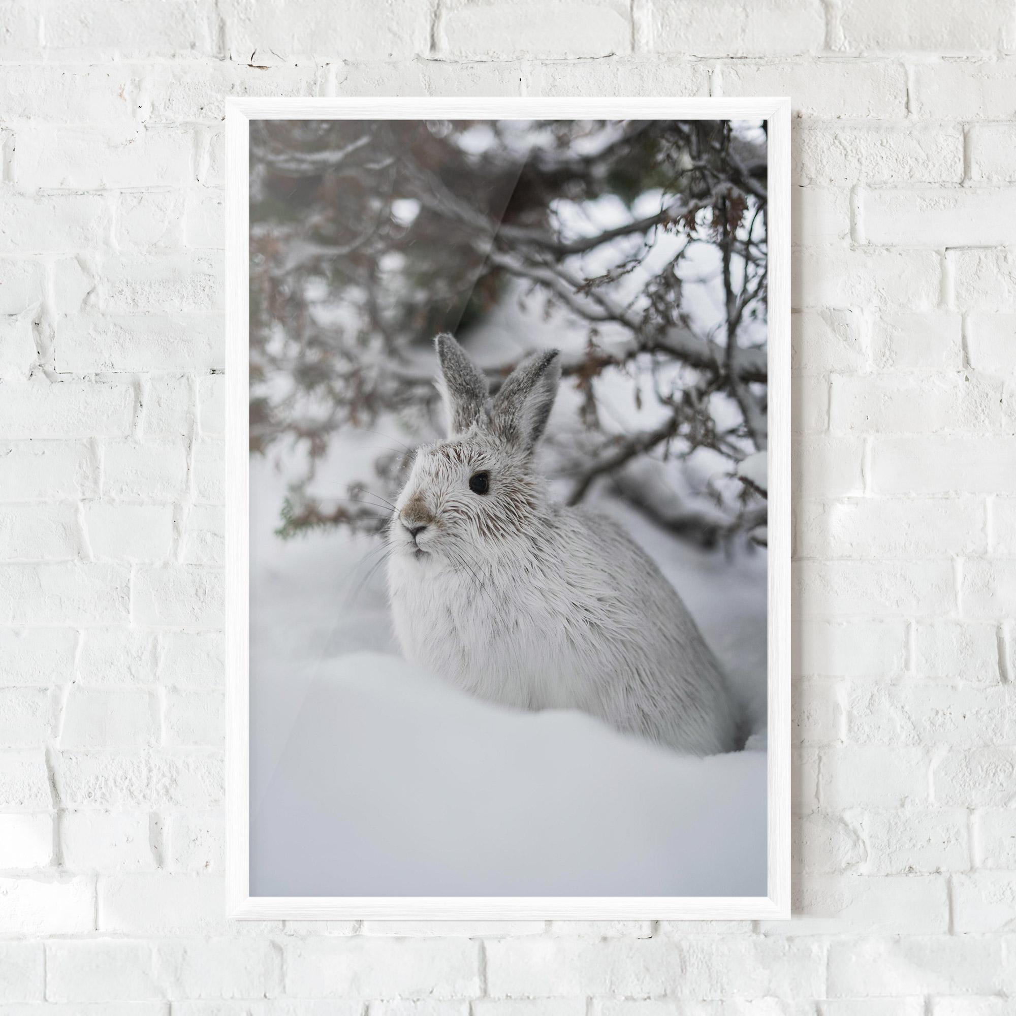 Plakat w Ramie Bunny In Snow mockup 0