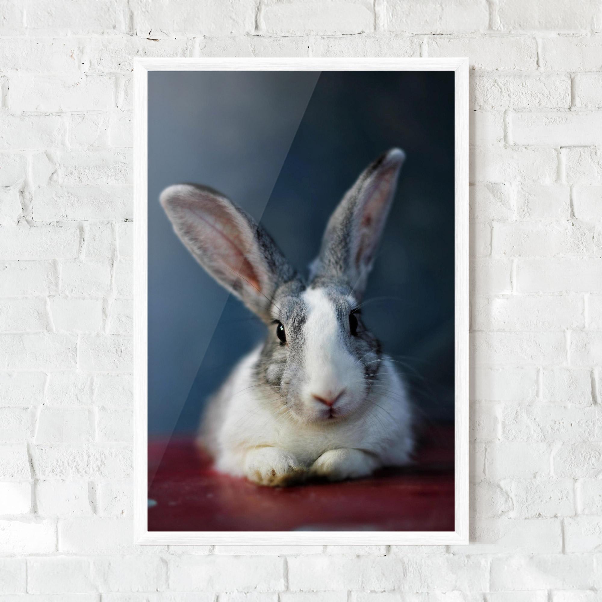 Plakat w Ramie Cute Grey Bunny mockup 0