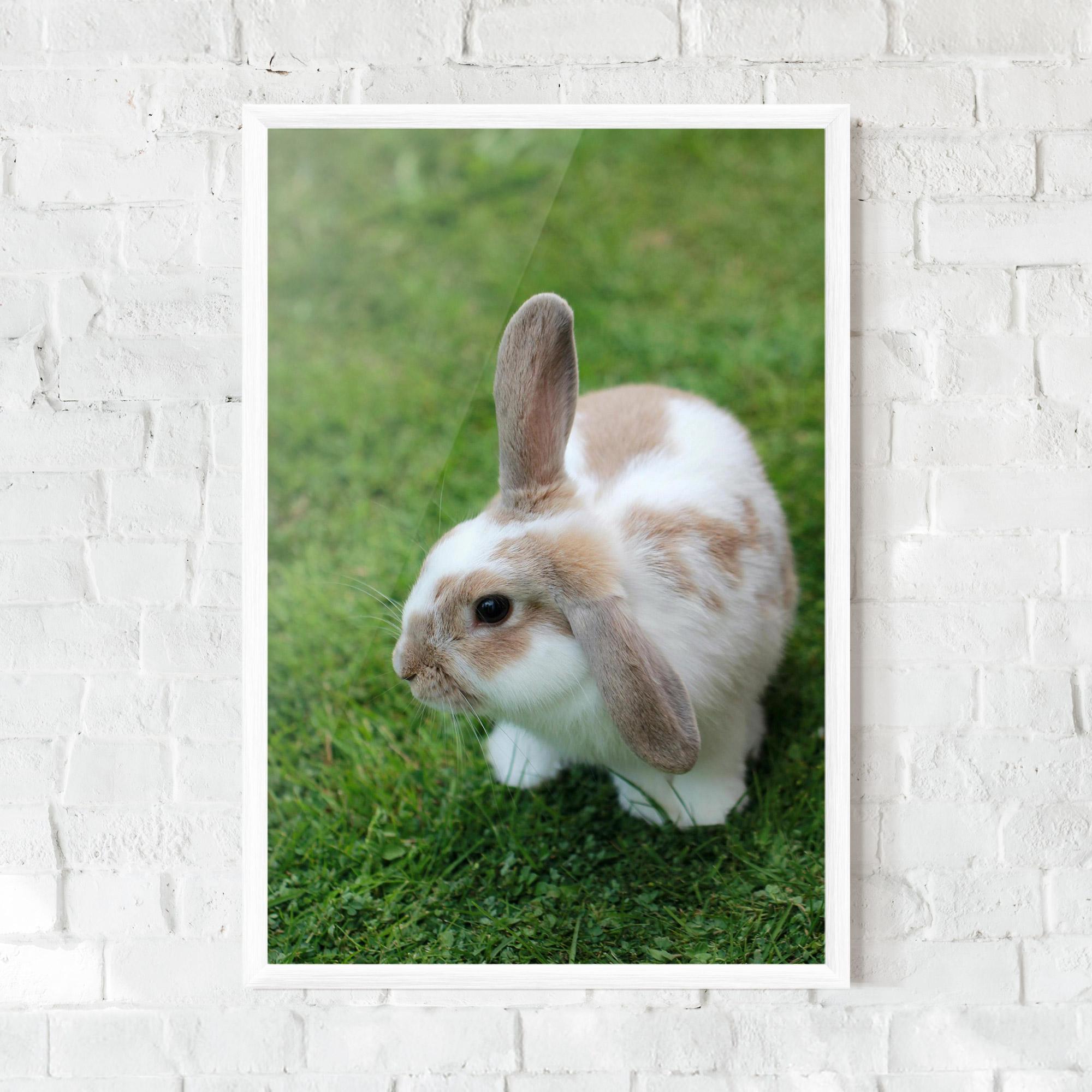 Plakat w Ramie Light Orange Bunny mockup 0