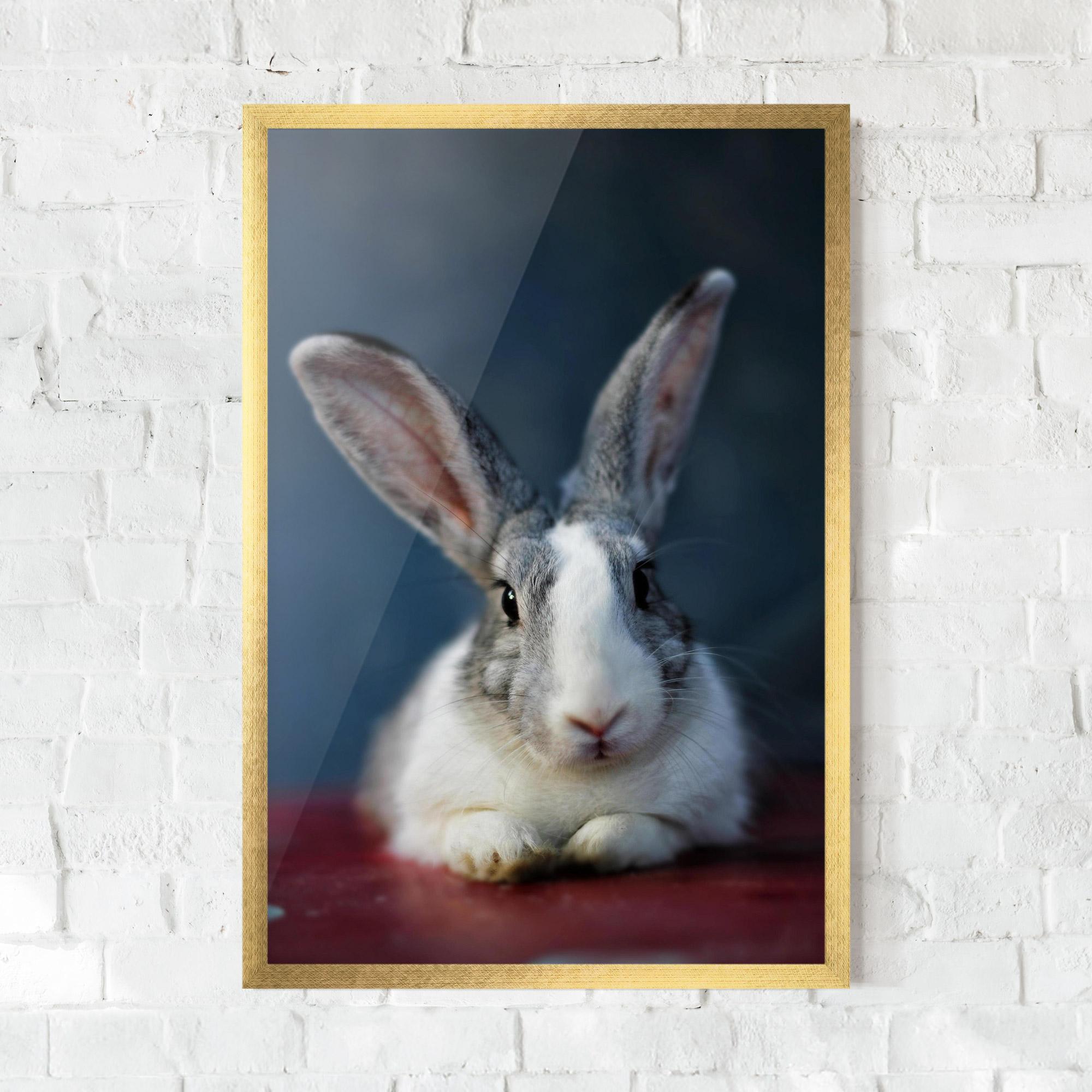 Plakat w Ramie Cute Grey Bunny mockup 0