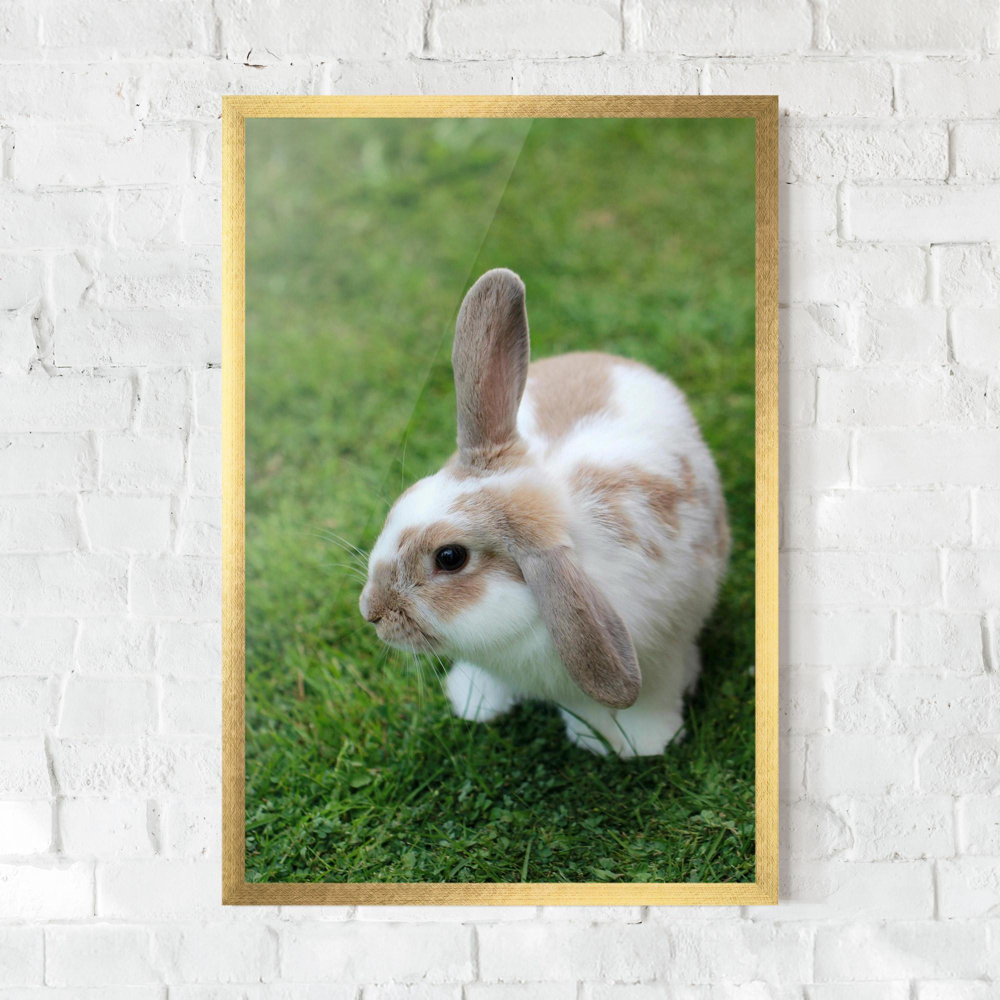 Plakat w Ramie Light Orange Bunny mockup 0