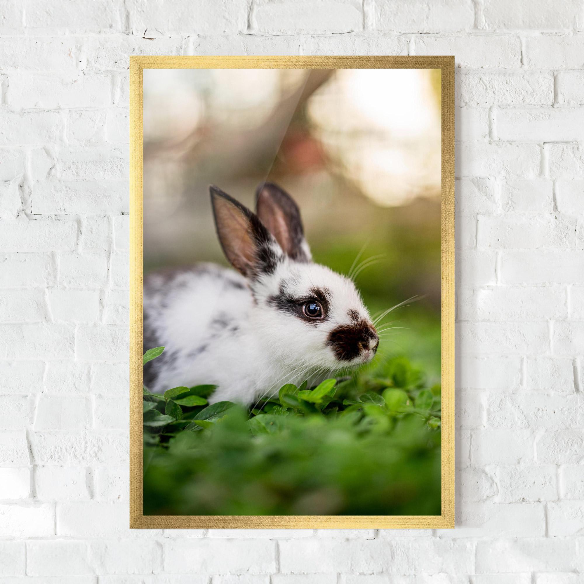Plakat w Ramie White Black Bunny mockup 0