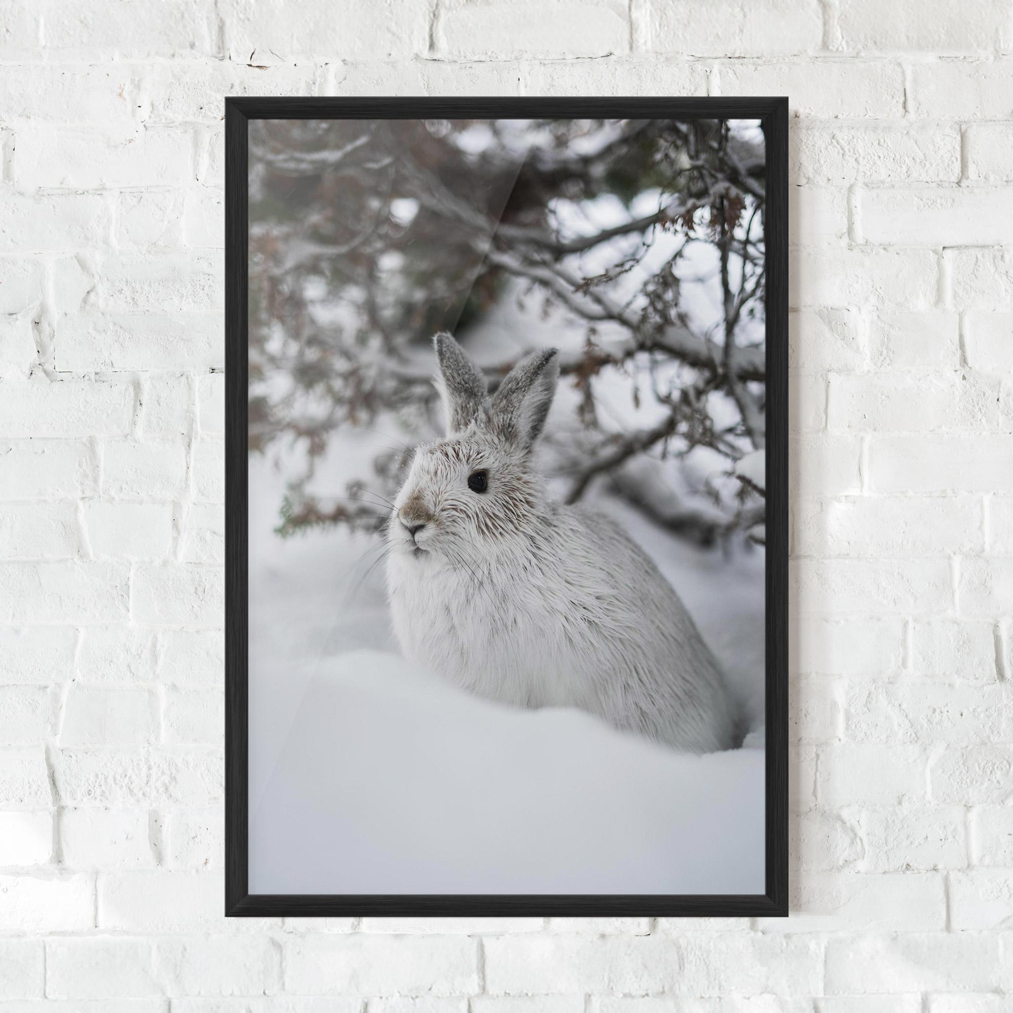 Plakat w Ramie Bunny In Snow mockup 0
